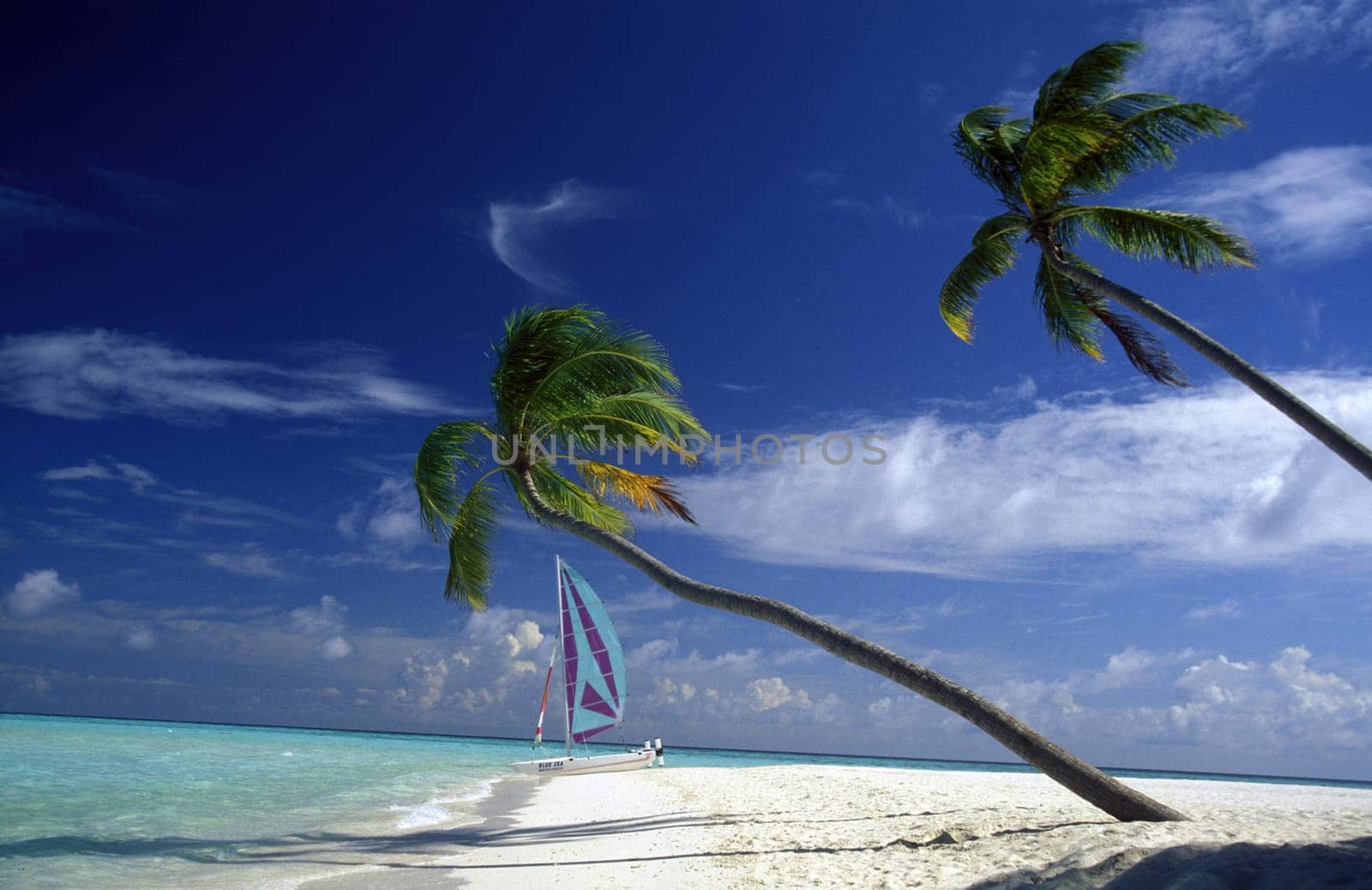 .The dream beach with palm trees and white sand on the island of Velavaru in the Southmale Atoll on the islands of the Maldives in the Indian Ocean.