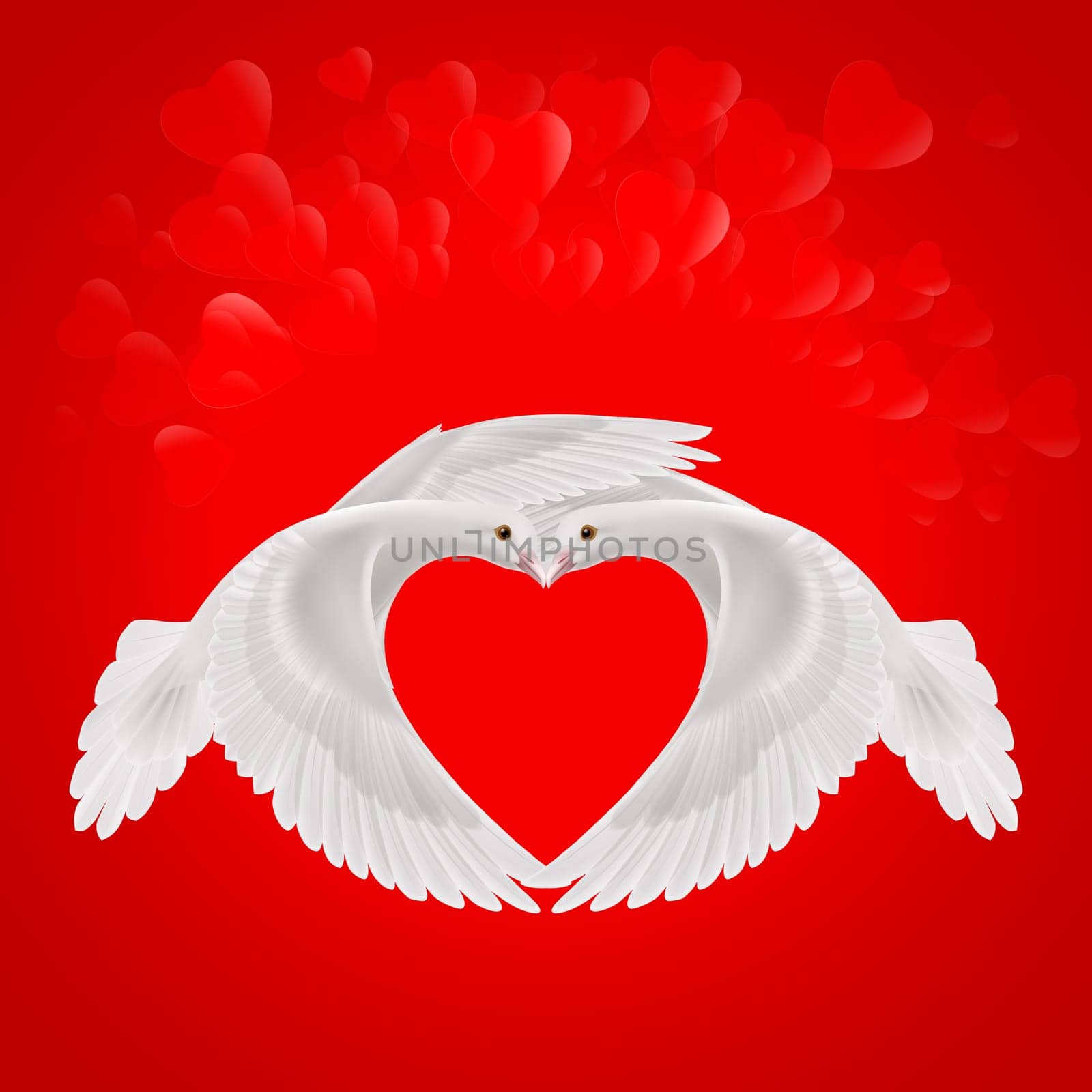 Two white doves makes the shape of the wings of the red heart