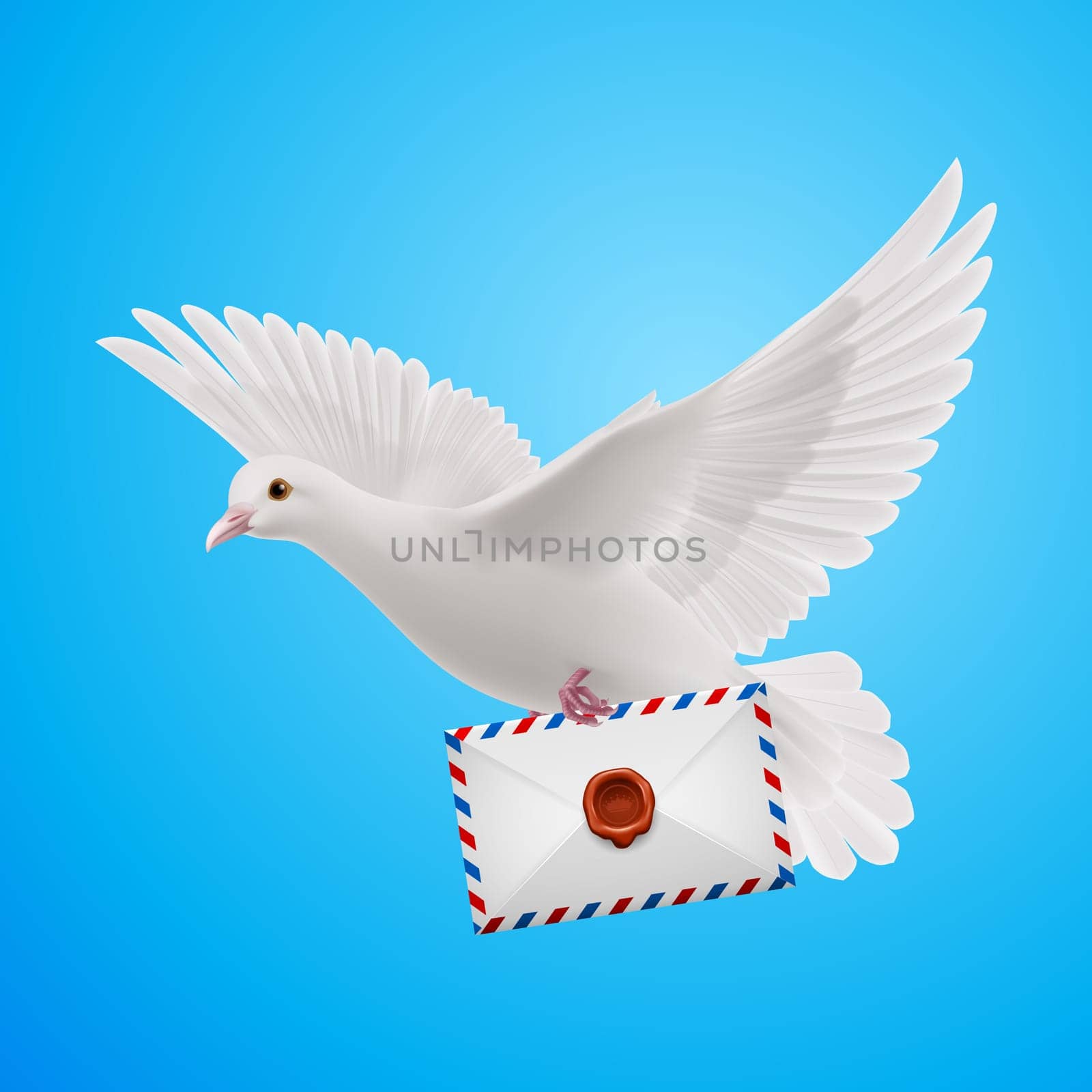 Carrier fly with letter in beak on blue background