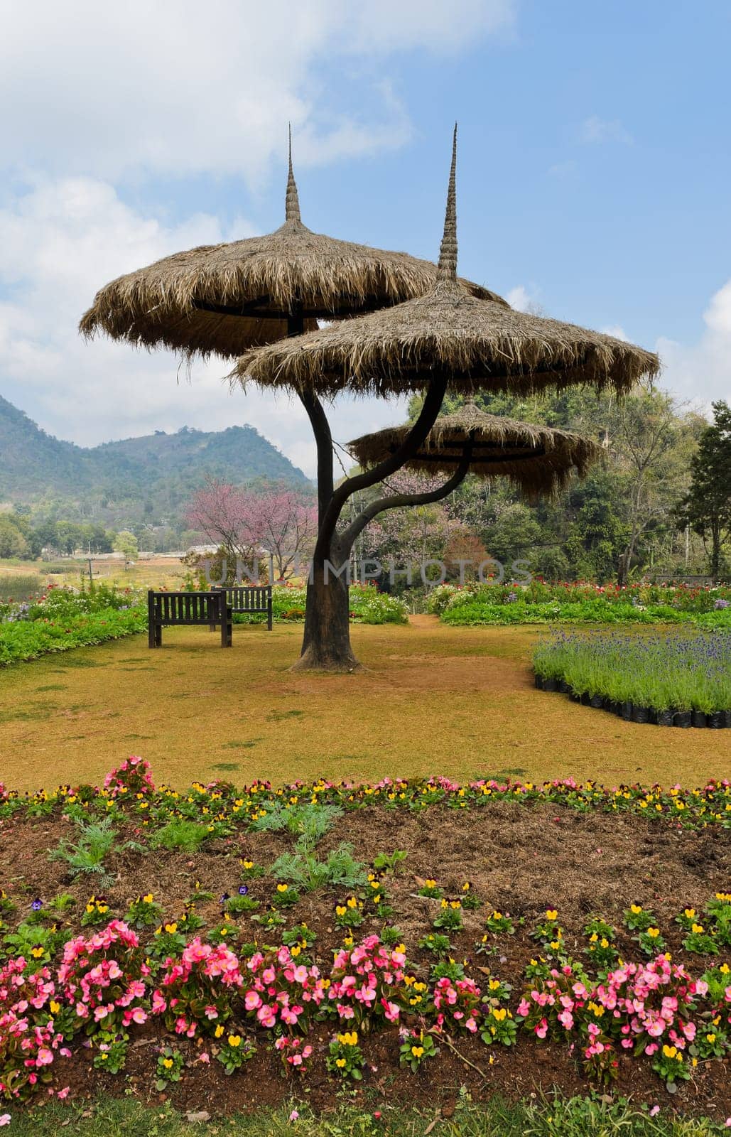 Beautiful garden scene in Chiang Mai, Thailand