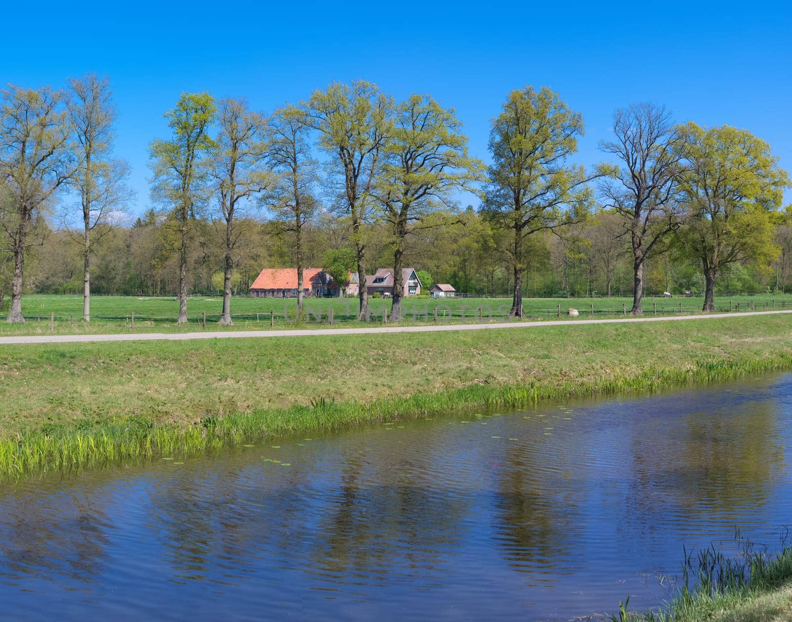 canal with farmhouse in the netherlands