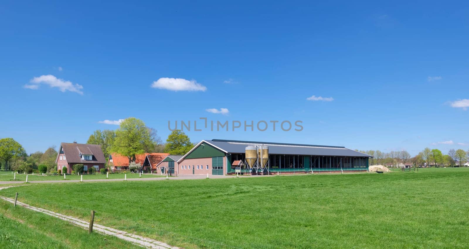 typically dutch farmhouse with large livestock barn