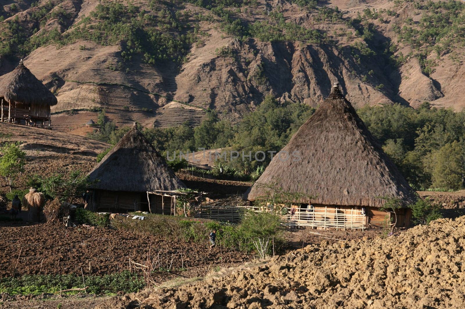The mountain landscape at the mountain village of Maubisse south of Dili in East Timor on the two separate island of Timor in Asia.