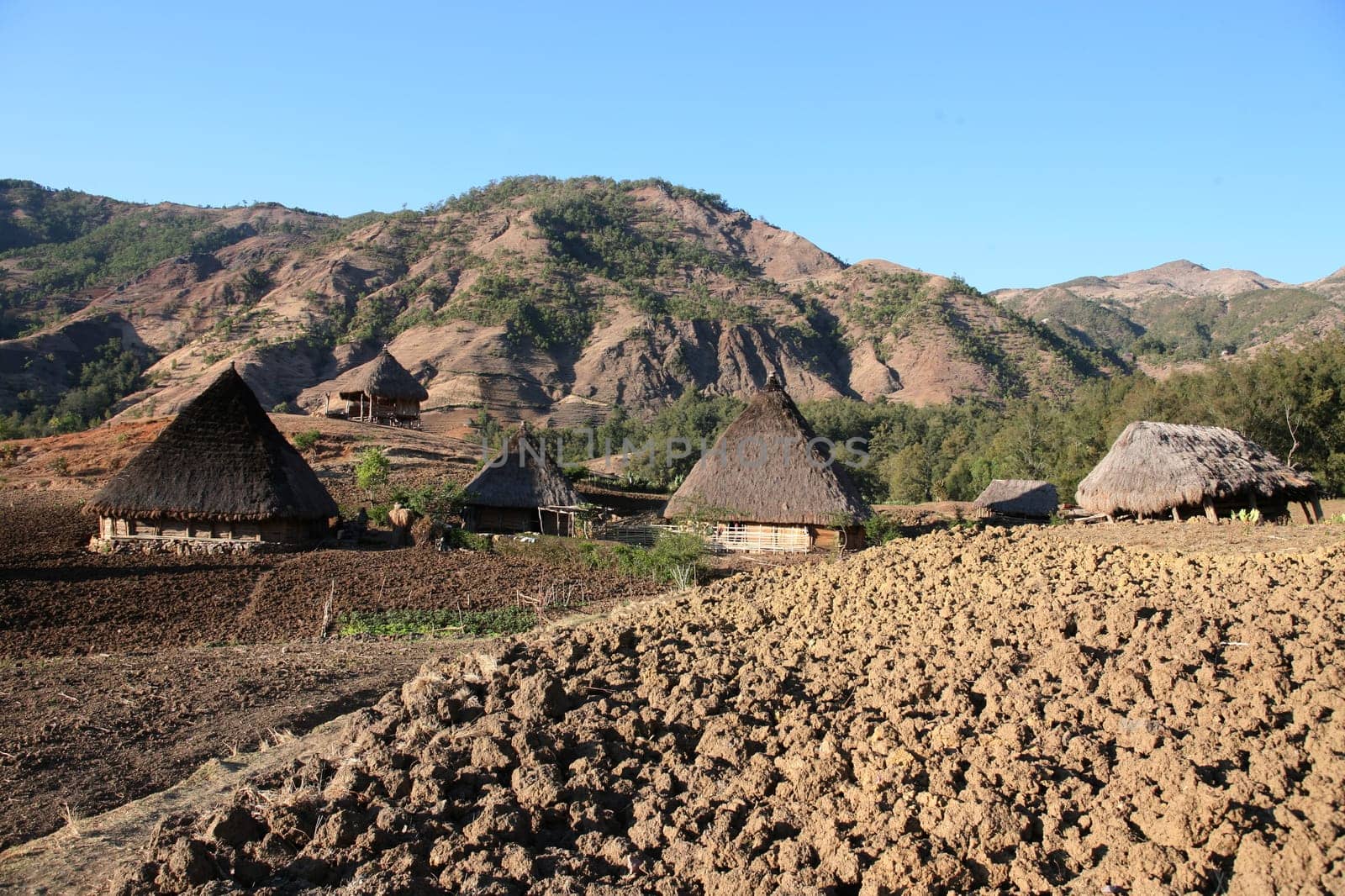 The mountain landscape at the mountain village of Maubisse south of Dili in East Timor on the two separate island of Timor in Asia.