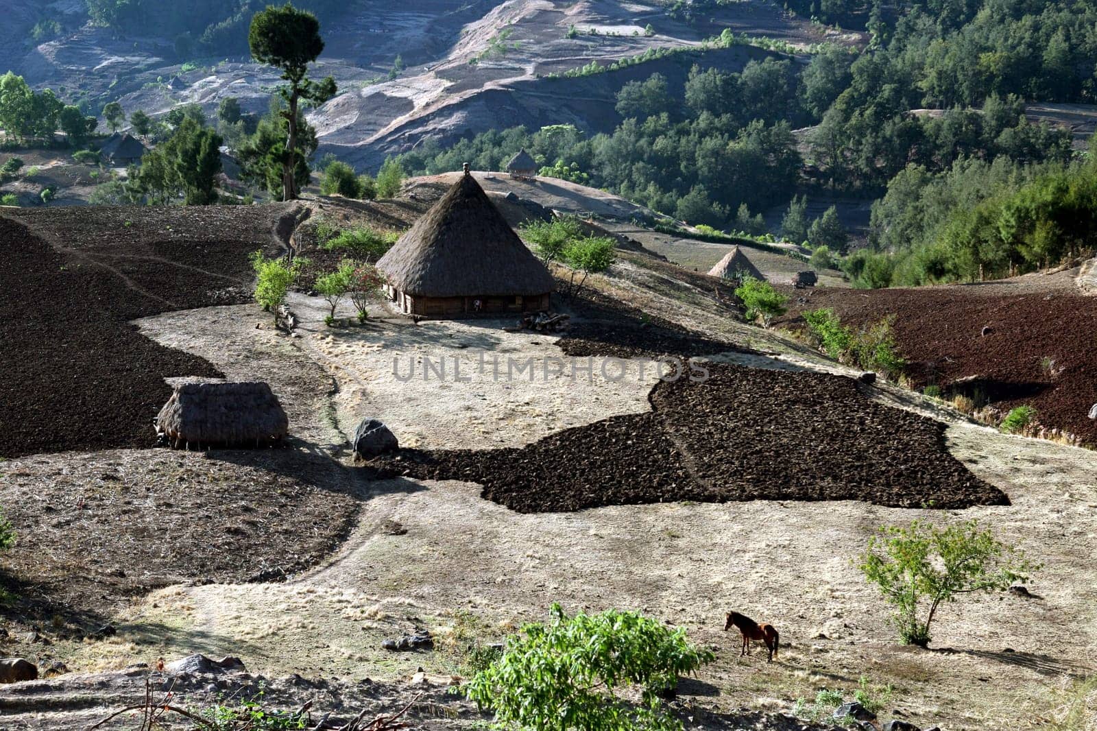 The mountain landscape at the mountain village of Maubisse south of Dili in East Timor on the two separate island of Timor in Asia.