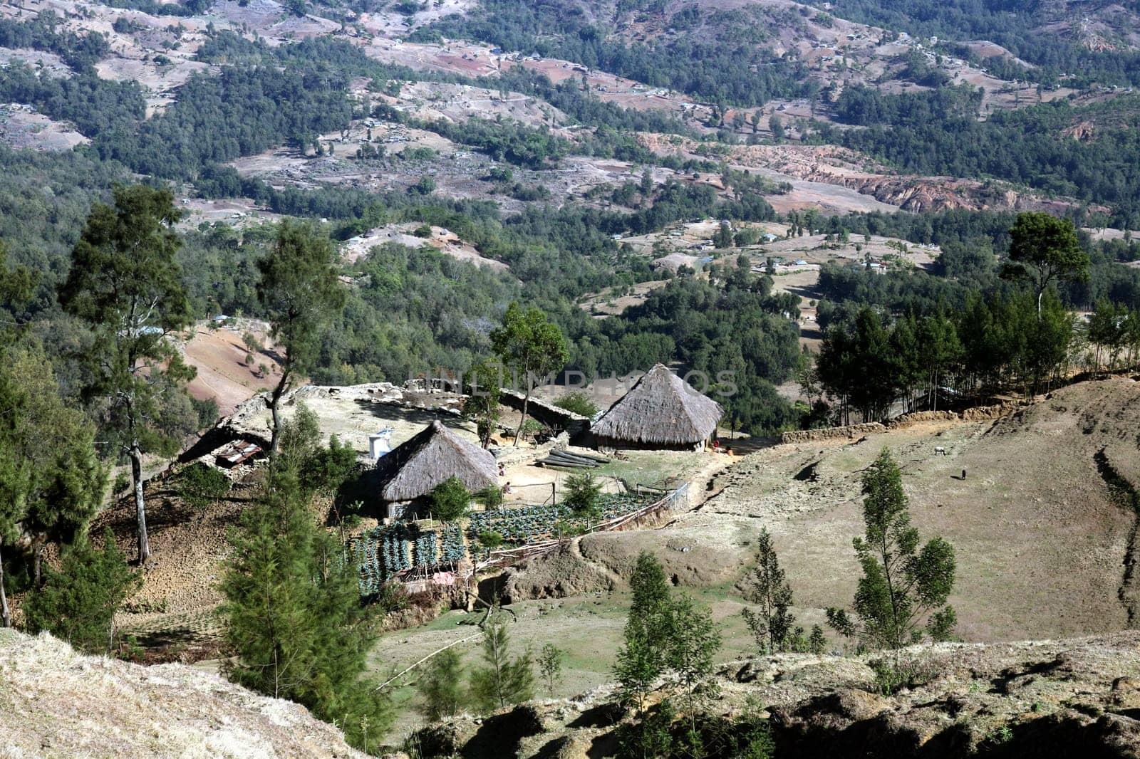 A traditional house near the mountain village of Maubisse south of Dili in East Timor on the two separate island of Timor in Asia.