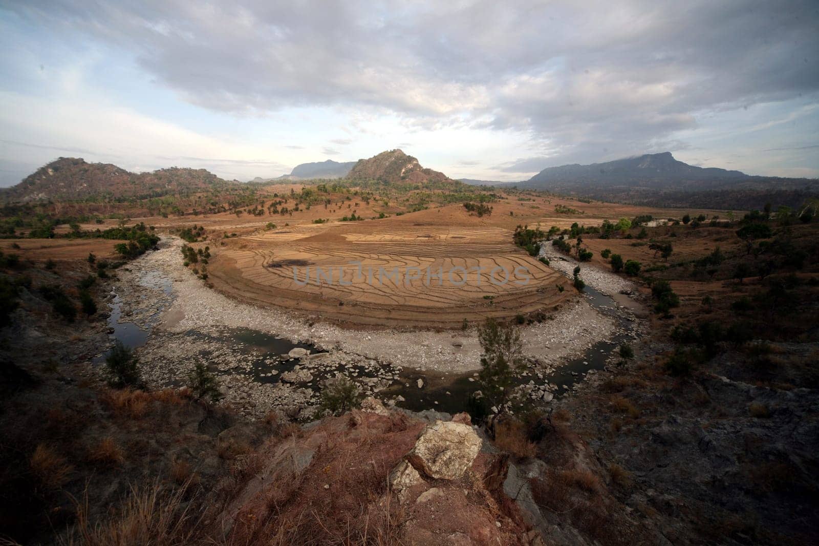 Dry rice fields near Loihuno in Zental East Timor on the two separate island of Timor in Asia.