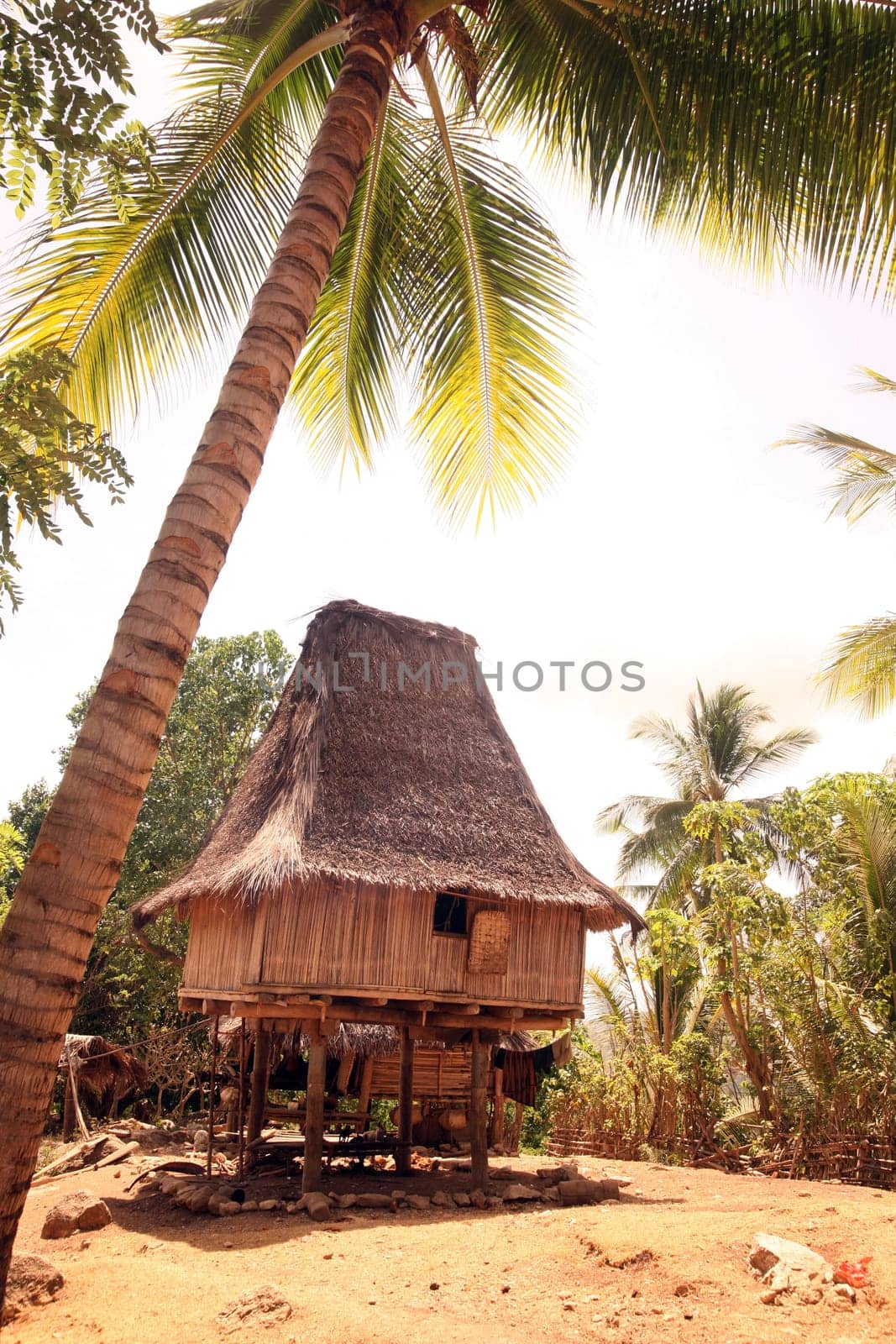 Asia,South East Asia,East Timor,Timor-Leste,Timor,East Coast,Raca,House,Tradition,Architecture, A traditional farmhouse near Raca in east Of East Timor in South East Asia.       (Urs Flueeler)