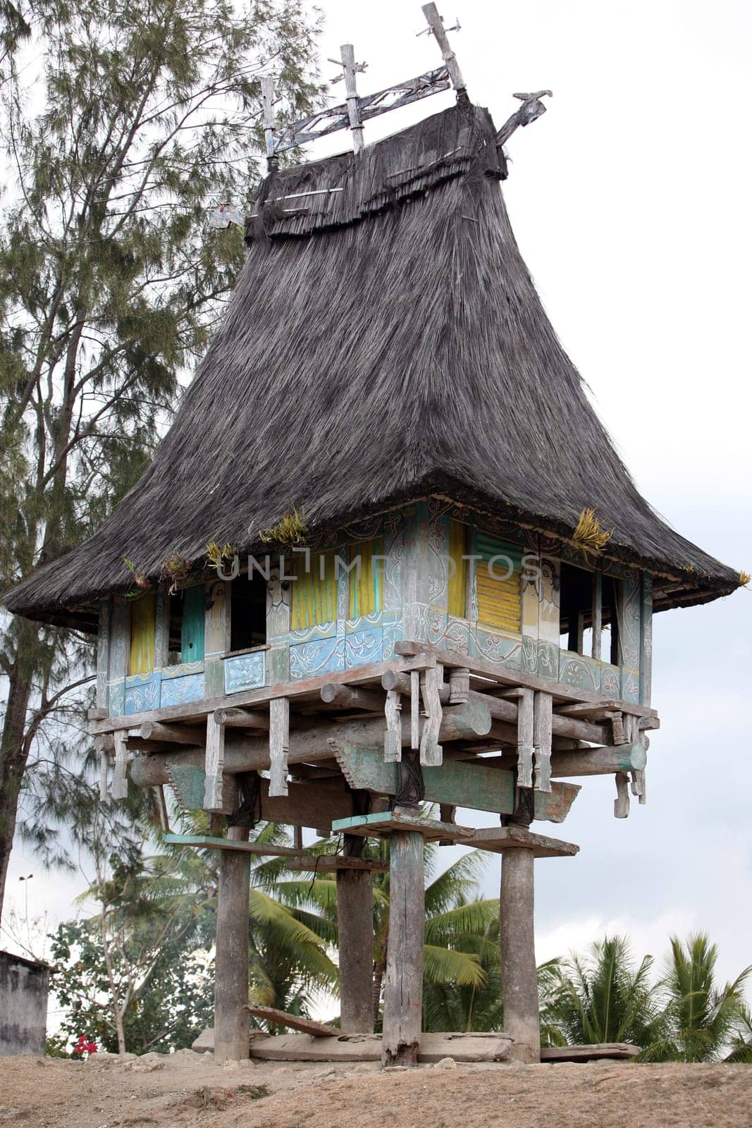 Asia,South East Asia,East Timor,Timor-Leste,Timor,East Coast,Raca,House,Tradition,Architecture, A traditional farmhouse near Raca in east Of East Timor in South East Asia.       (Urs Flueeler)