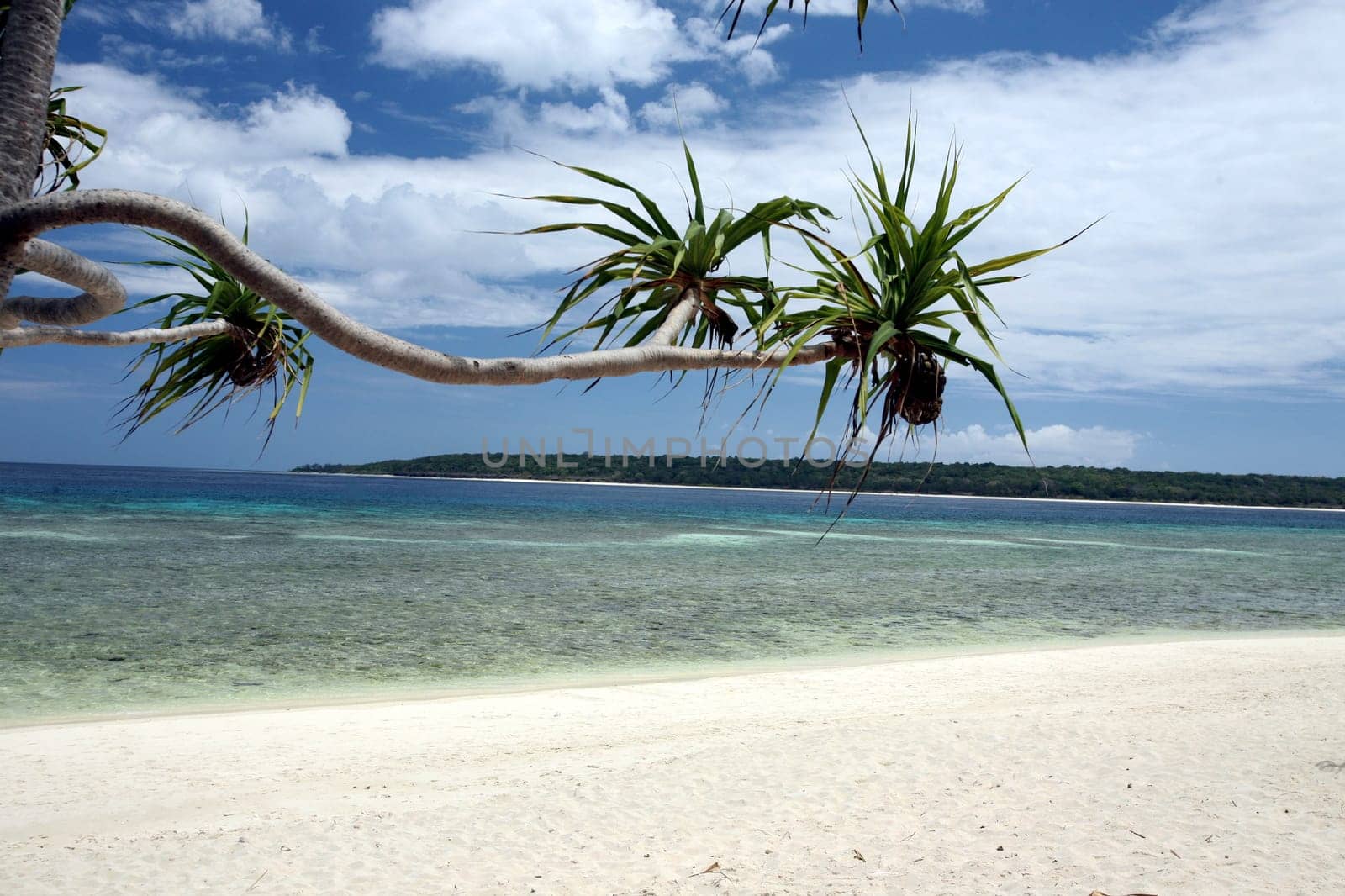 The beach landscape on Jaco Island in the background in the most easterly point on the Timor Sea in East Timor on the two separate island of Timor in Asia.