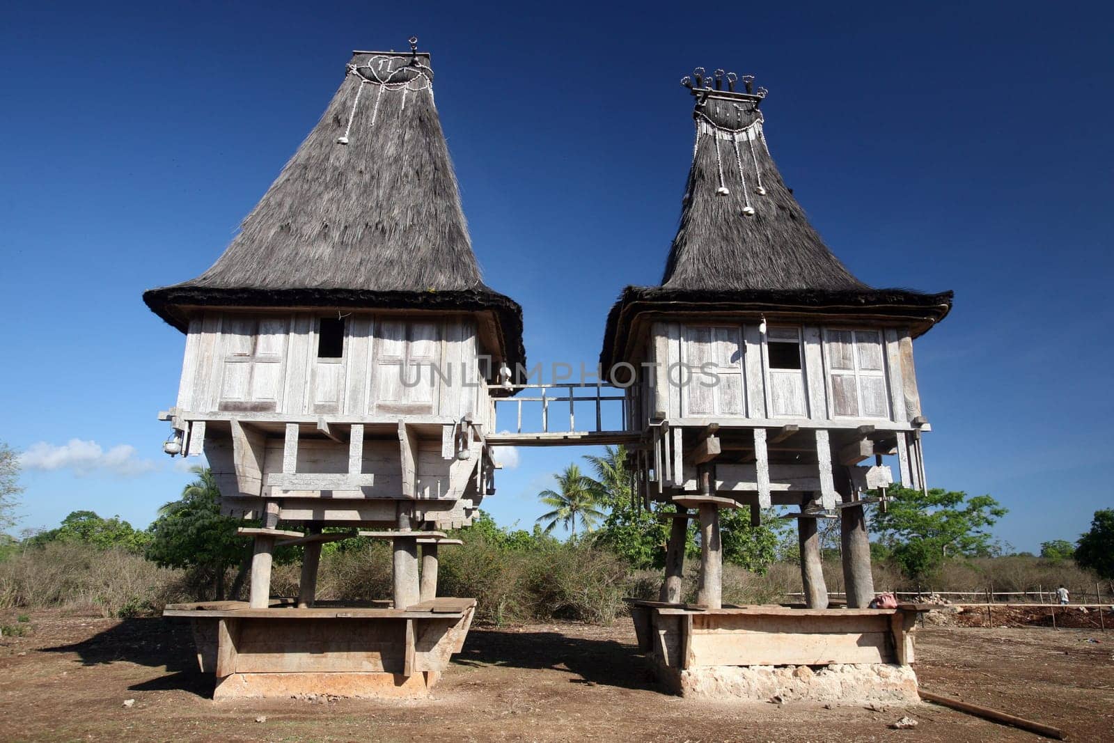 Asia,South East Asia,East Timor,Timor-Leste,Timor,East Coast,Raca,House,Tradition,Architecture, A traditional farmhouse near Raca in east Of East Timor in South East Asia.       (Urs Flueeler)