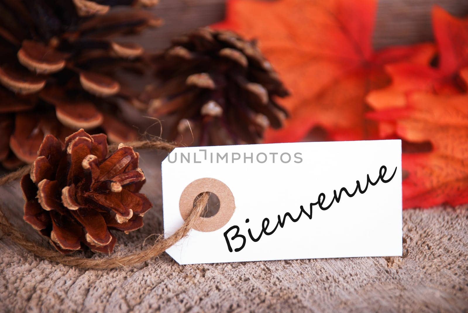 The French Word Bienvenue, which means Welcome, written on a label as Fall Background
