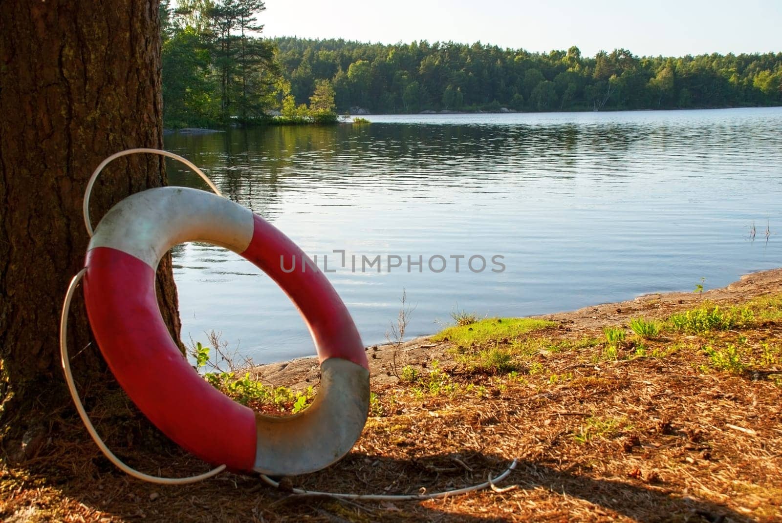 Lifesaver in the Nature on a Lake with green Trees around, summer