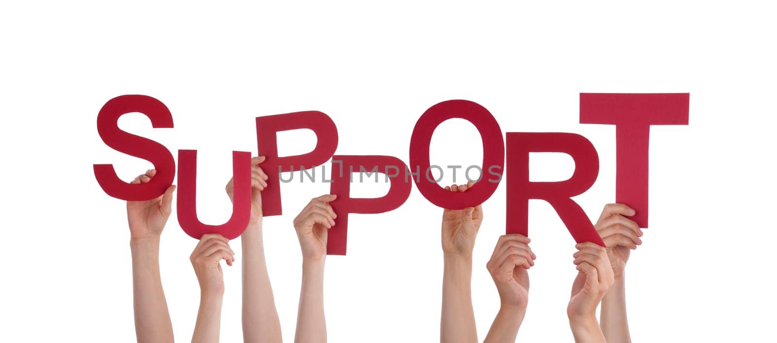 Many Hands Holding the Red Word Support, Isolated