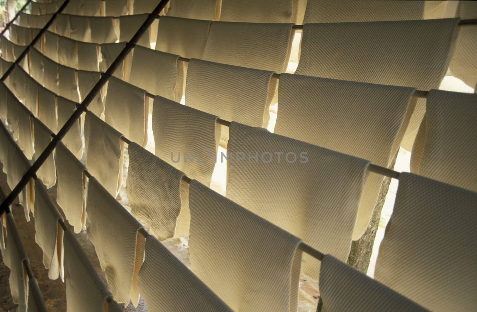 Asia,Indian Ocean,Sri Lanka,. Rubber mats made of fresh rubber at a plantation after the porction of rubber at the Kuestendorf Hikkaduwa on the south-west coast of Sri Lanka. (URS FLUEELER).......