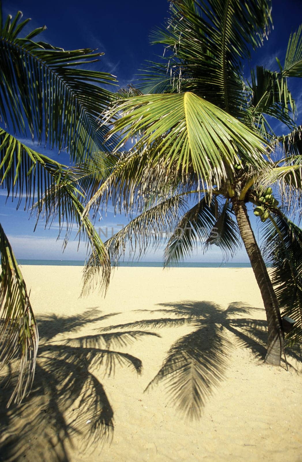 Asia,Indian Ocean,Sri Lanka,. A dream beach at the Kuestendorf Hikkaduwa on the south-west coast of Sri Lanka. (URS FLUEELER).......