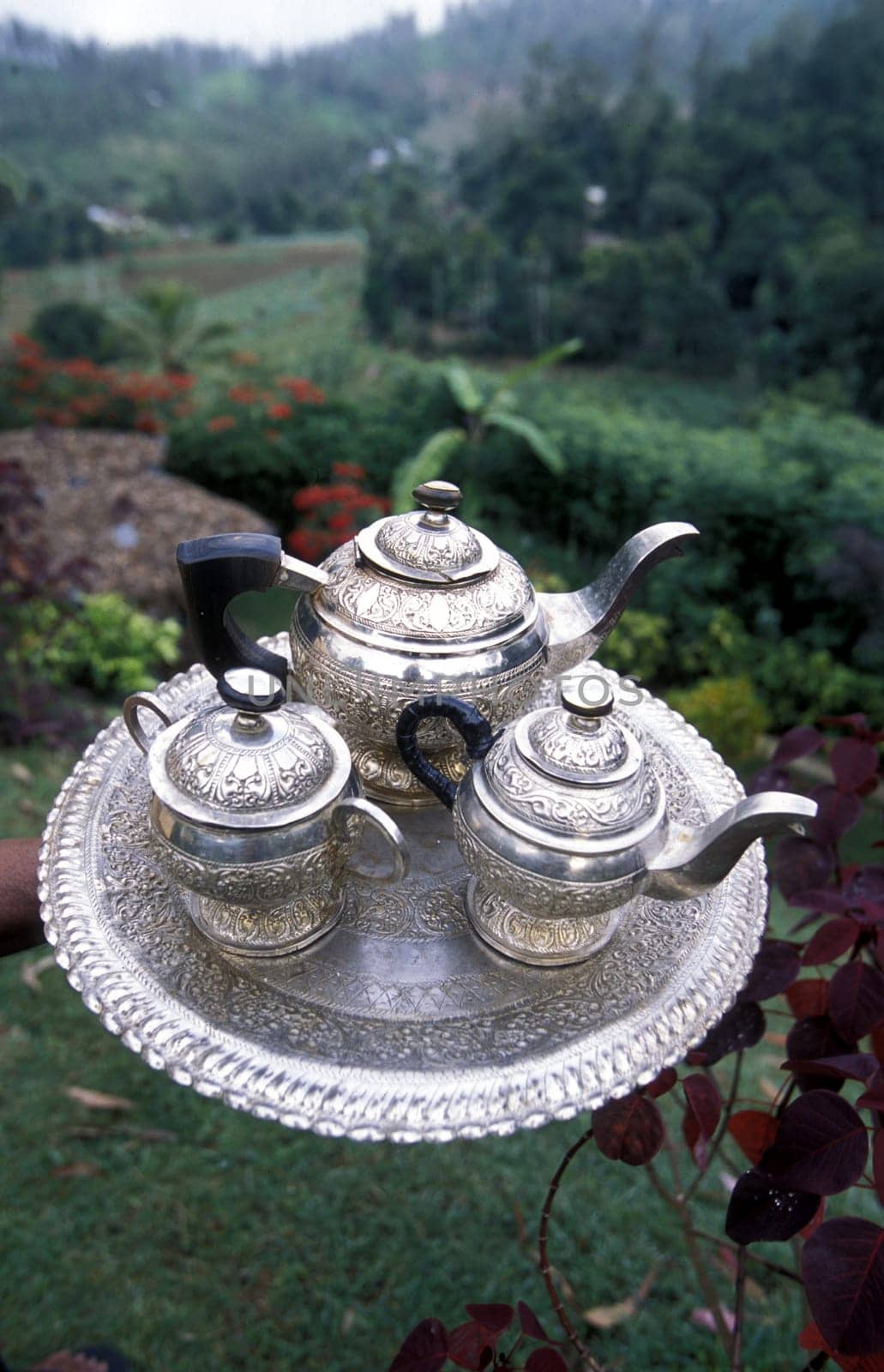 Asia,Indian Ocean,Sri Lanka,. A tea jug at a hotel in the tea growing area of Nuwara Eliya in Central Gebierge of Sri Lanka. (URS FLUEELER).......