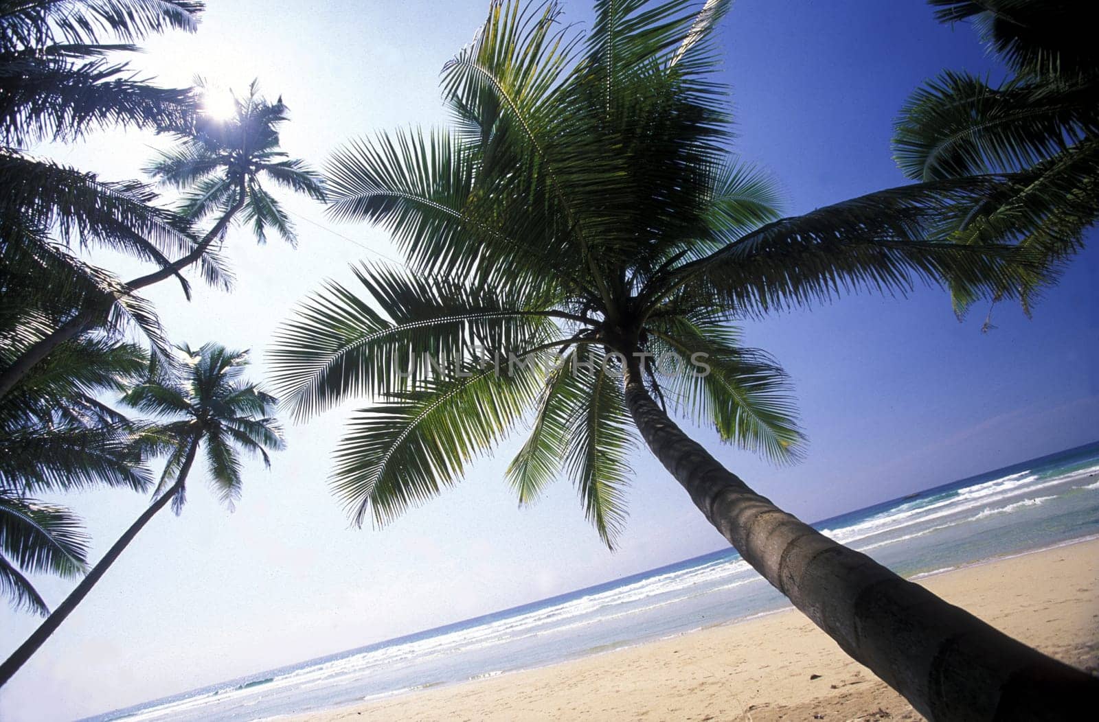 Asia,Indian Ocean,Sri Lanka,. A dream beach at the Kuestendorf Hikkaduwa on the south-west coast of Sri Lanka. (URS FLUEELER).......