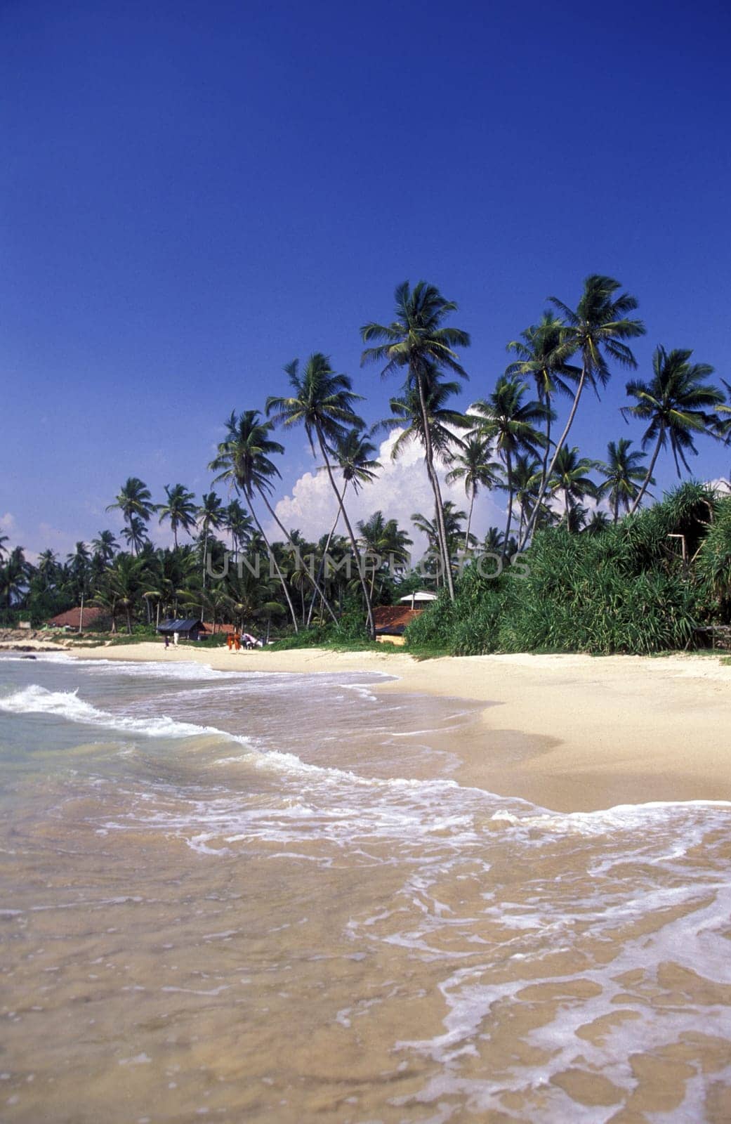 A beach at Hikkaduwa in the south of Sri Lanka in Asia.