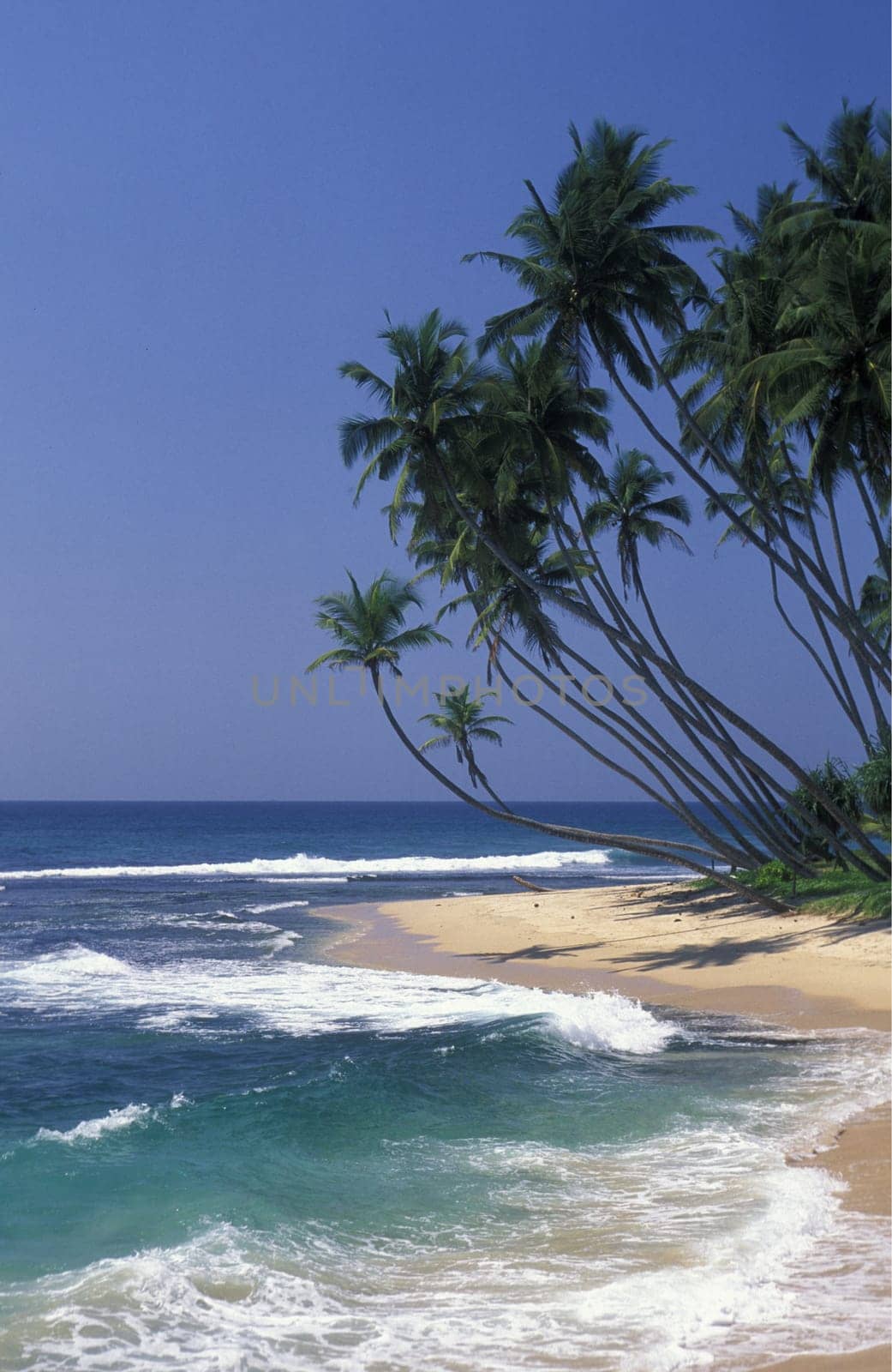 Asia,Indian Ocean,Sri Lanka,. A dream beach at the Kuestendorf Hikkaduwa on the south-west coast of Sri Lanka....