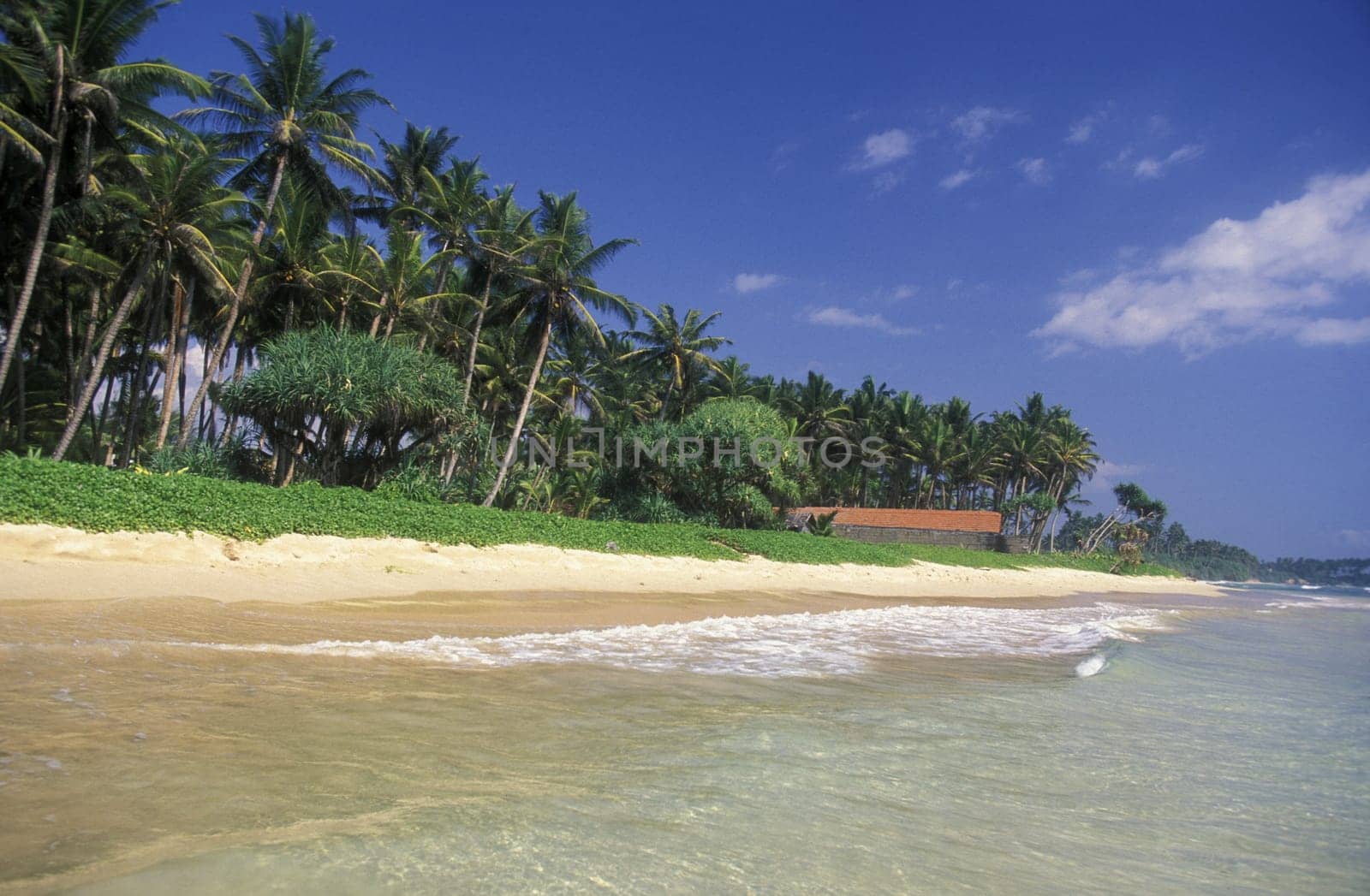Asia,Indian Ocean,Sri Lanka,. A dream beach at the Kuestendorf Hikkaduwa on the south-west coast of Sri Lanka. (URS FLUEELER).......