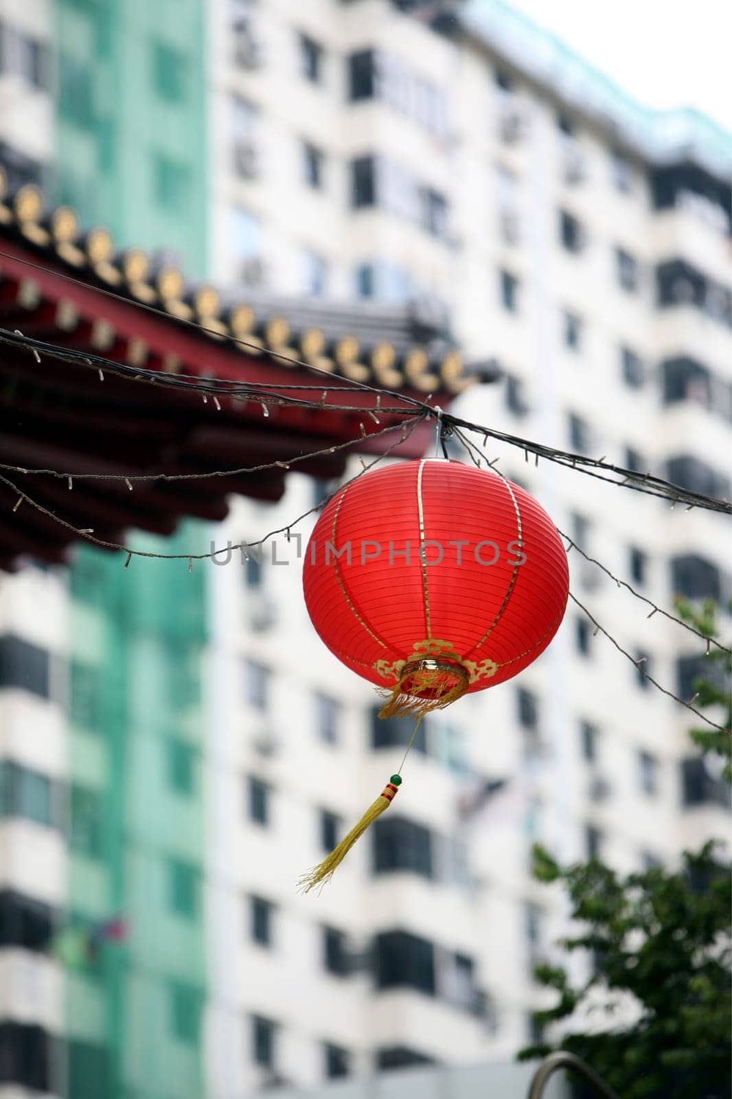Everyday life on the streets in Chinatown and Old Town of Singapore in the island state of Singapore in Asia.
