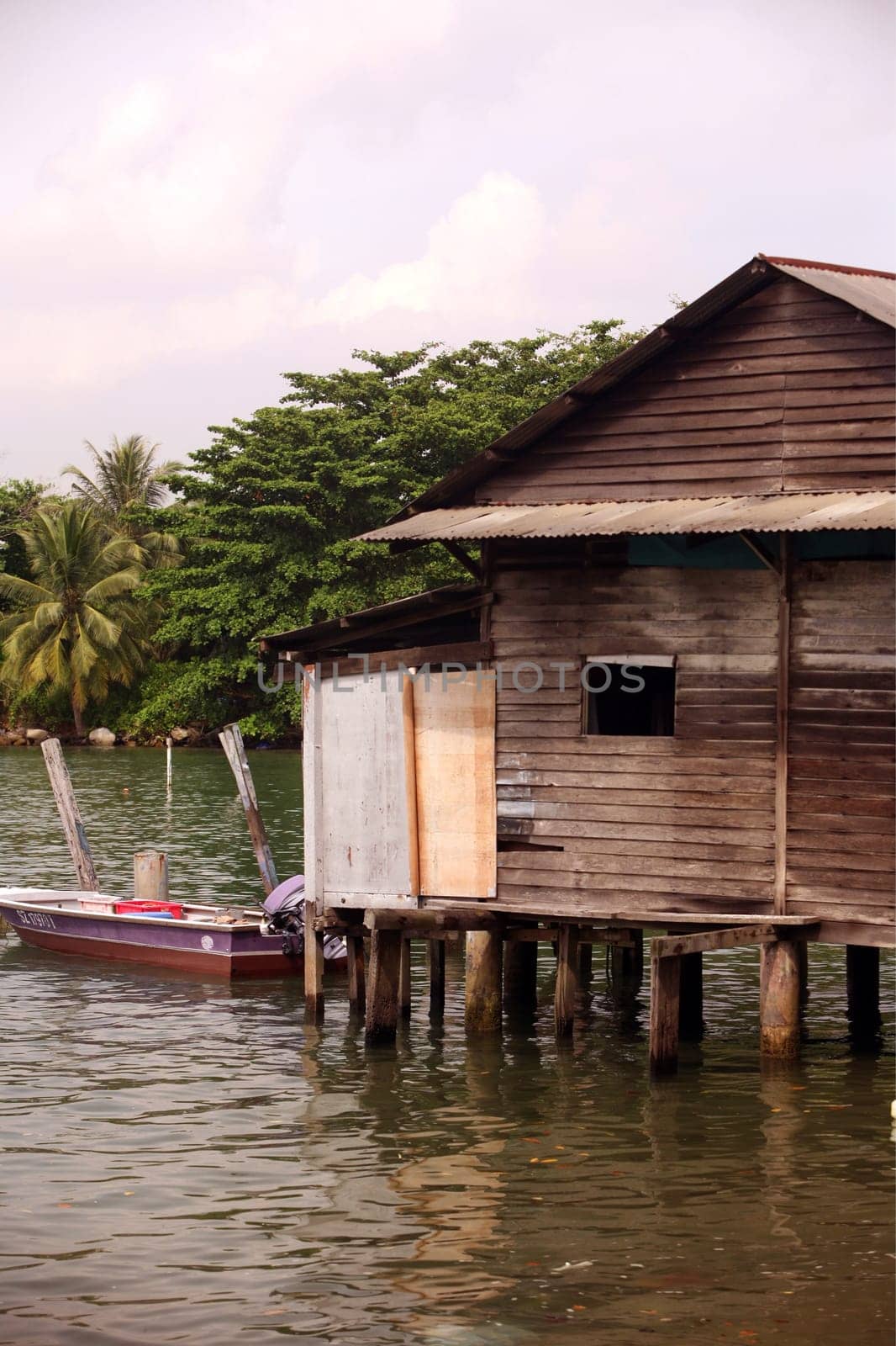 Asia,South East,Singapore,Island,State,City,City,Island,Palau Ubin,House,Wooden House,Everyday,Original