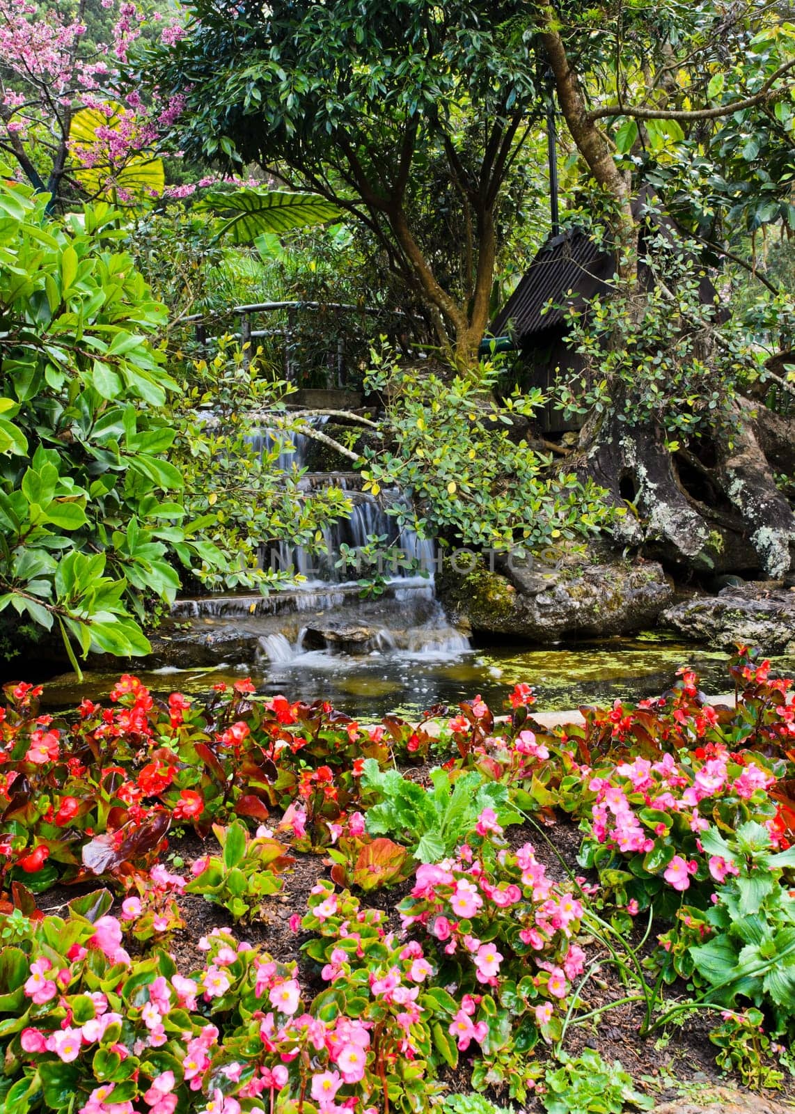 Flower garden with waterfall