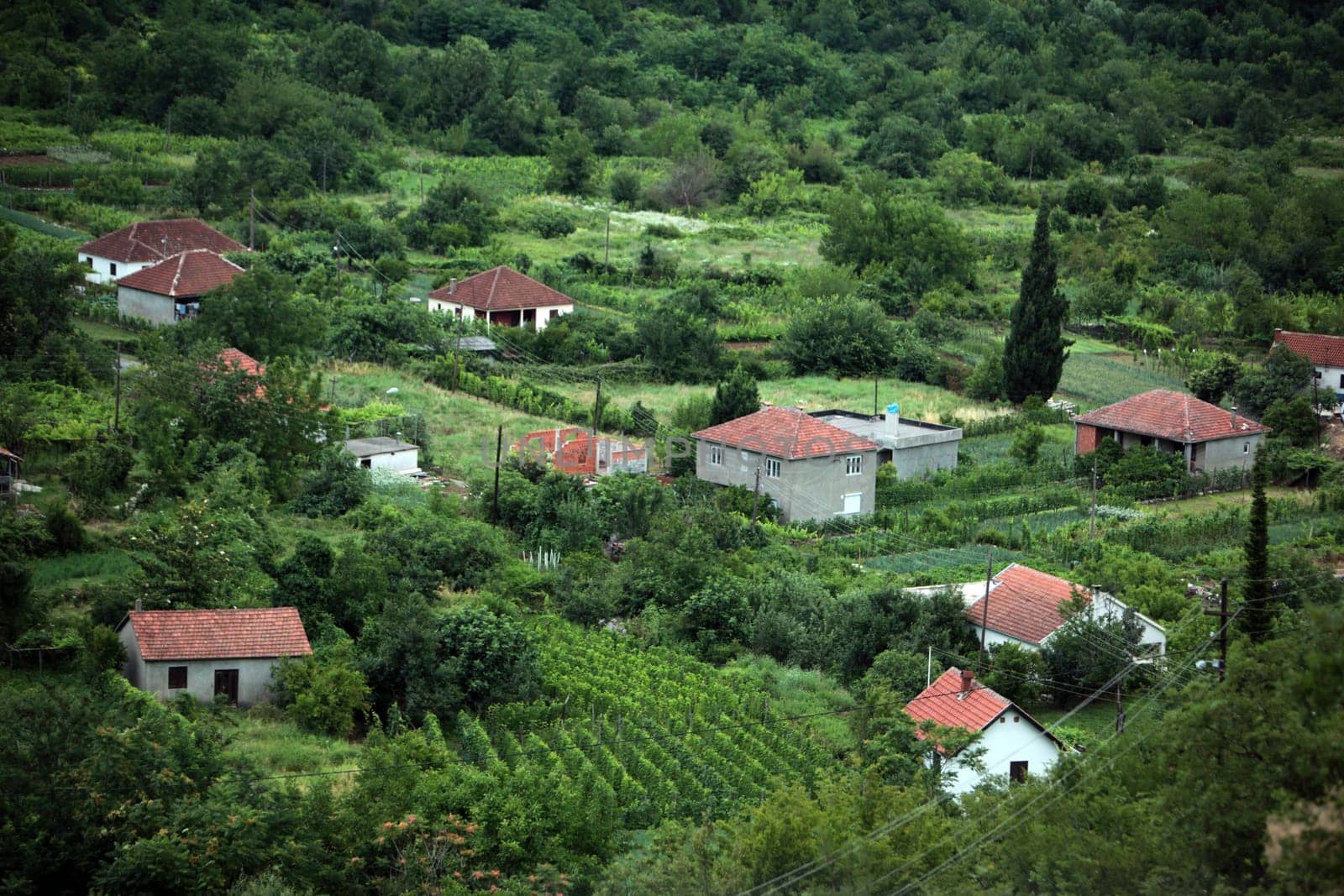 Europe,Eastern Europe,Balkans. Montenegro,Skadar,Lake,Landscape,Godinje,Agriculture,Mountain Village,House