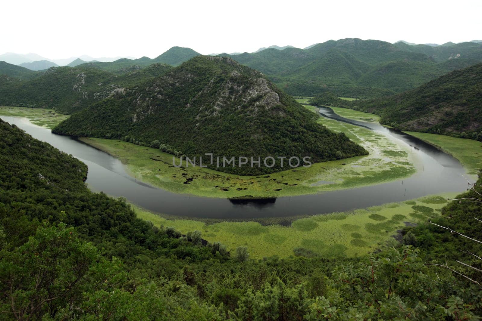 The landscape at Rijeka Crnojevica with the river Rijeka Crnojevica at the western end of the Skadarsko Jezero lake or Skadar lake in Central Montenegro in Montenegro in the Balkans on the Mediterranean Sea in Europe.