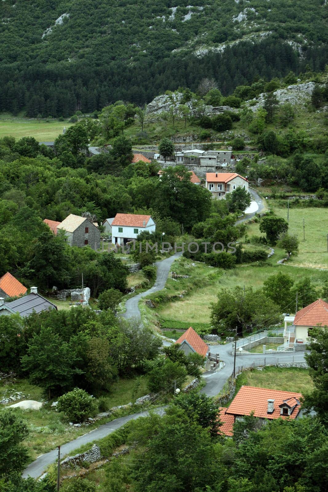 Europe,Eastern Europe,Balkans. Montenegro,Njegusi,mountain village,ham,raw ham,agriculture