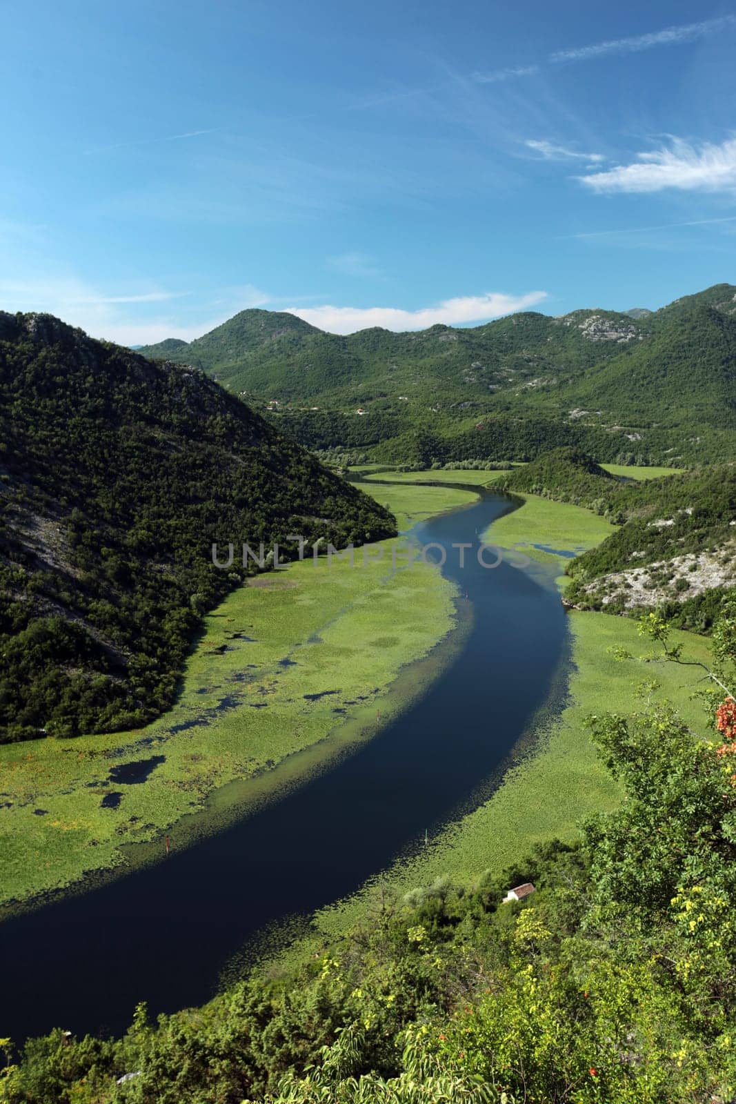 The landscape at Rijeka Crnojevica with the river Rijeka Crnojevica at the western end of the Skadarsko Jezero lake or Skadar lake in Central Montenegro in Montenegro in the Balkans on the Mediterranean Sea in Europe.