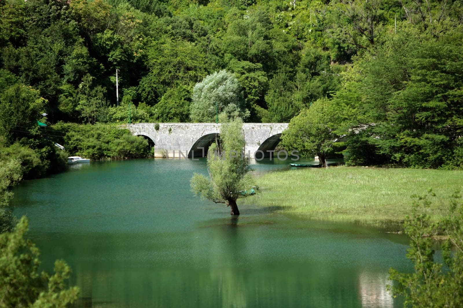 Europe,Eastern Europe,Balkans. Montenegro,Skadar,Lake,Landscape,Rijeka Crnojevica,Nature