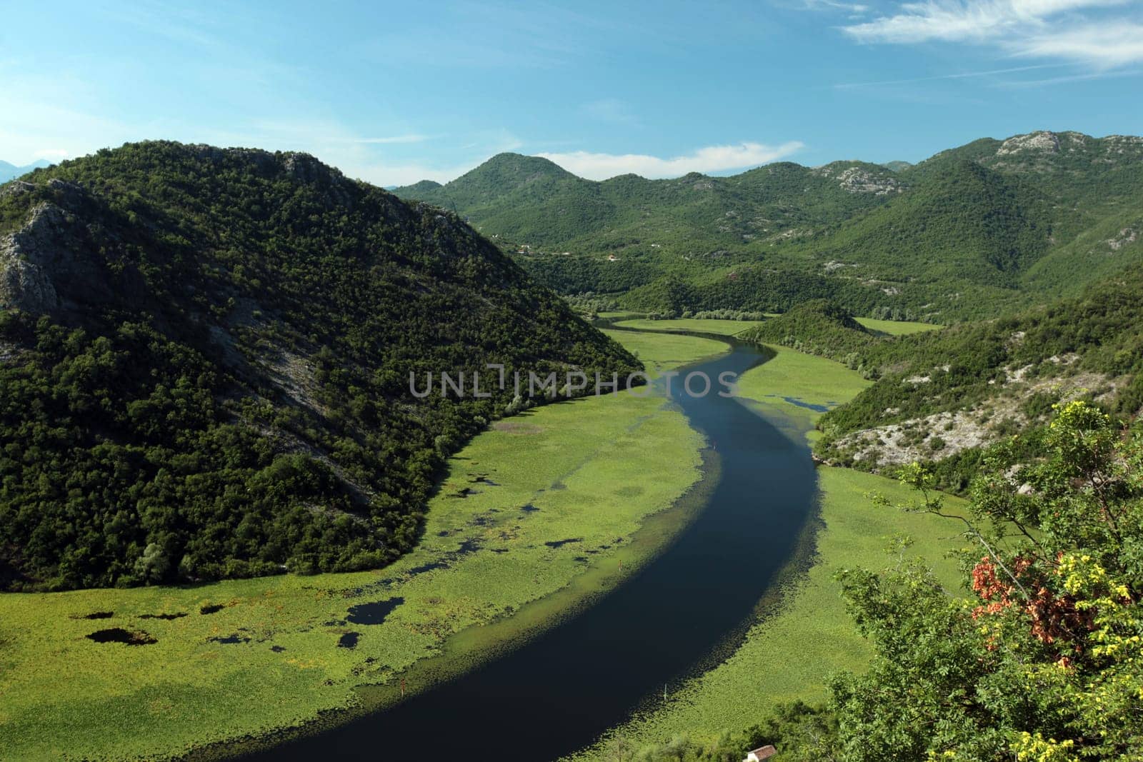 The landscape at Rijeka Crnojevica with the river Rijeka Crnojevica at the western end of the Skadarsko Jezero lake or Skadar lake in Central Montenegro in Montenegro in the Balkans on the Mediterranean Sea in Europe.
