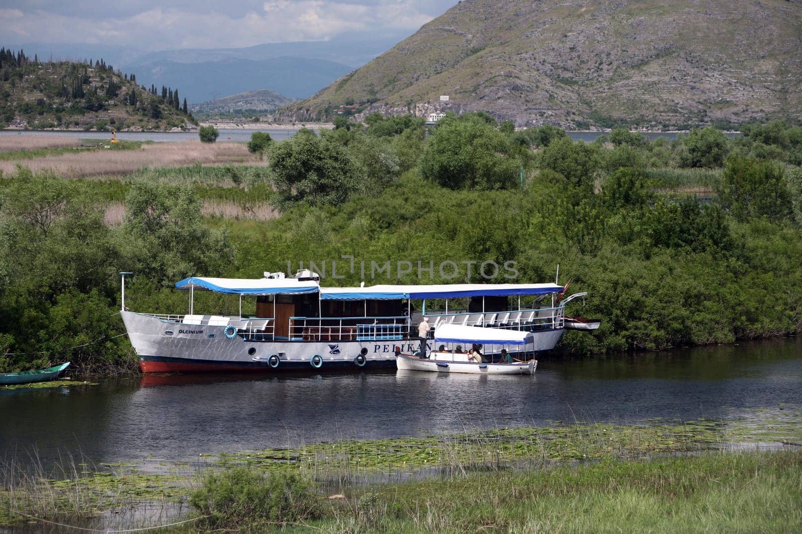 The landscape in Virpazar on Lake Skadar south-west of the capital Podgorica in Montenegro in the Balkans in Eastern Europe.