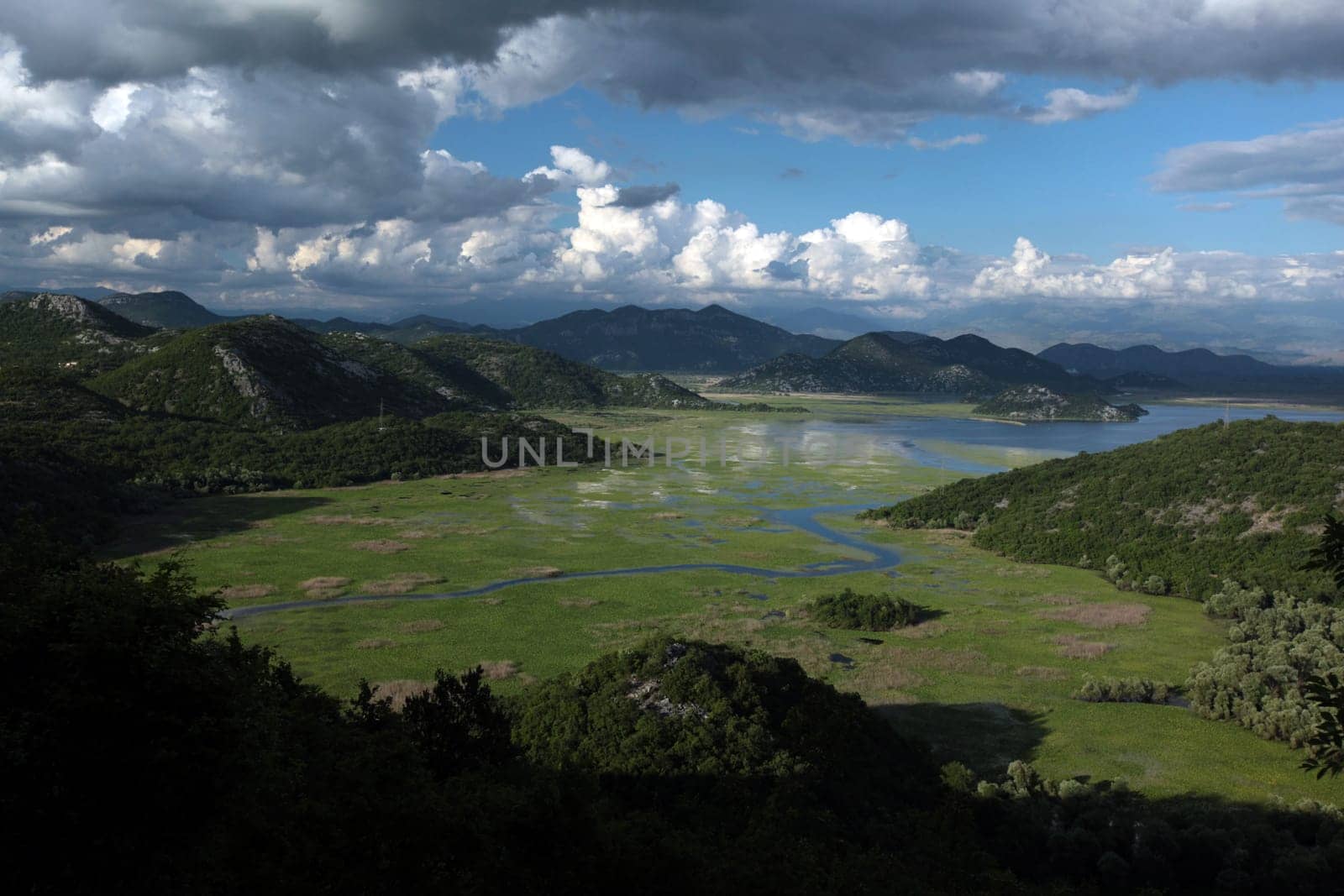 The landscape with the shore of Skadar Lake or Skadarsko Jezerobei Virpazar in Montenegro in Europe.