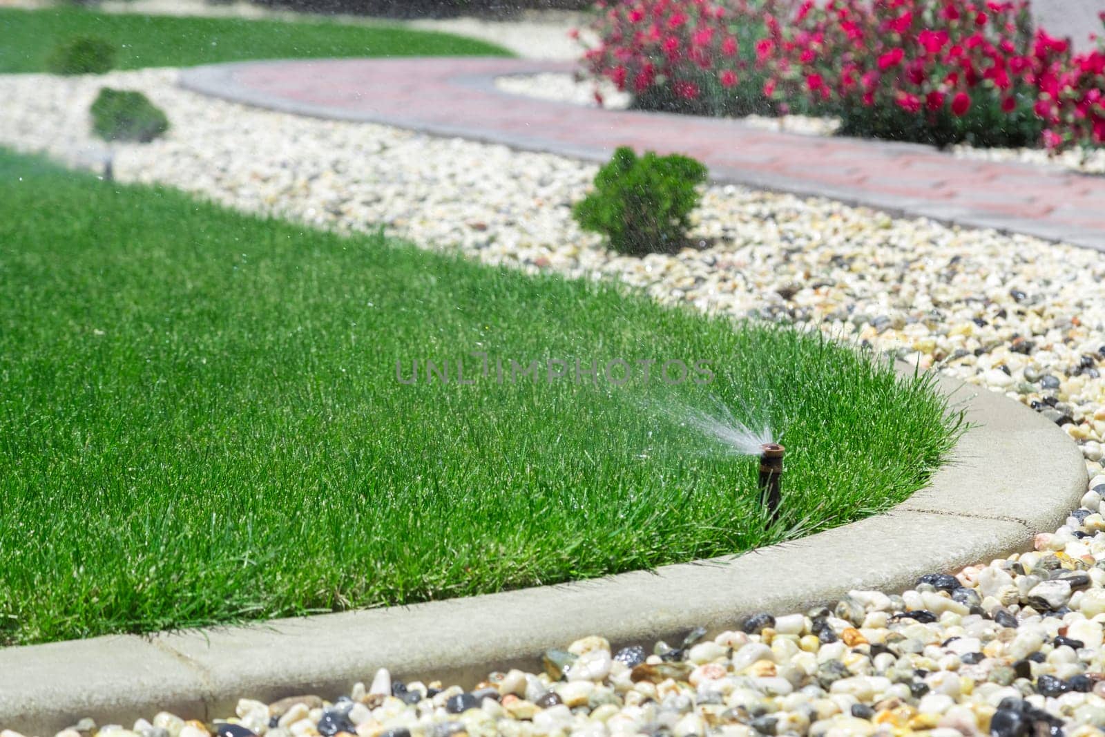 Automatic sprinkler watering grass