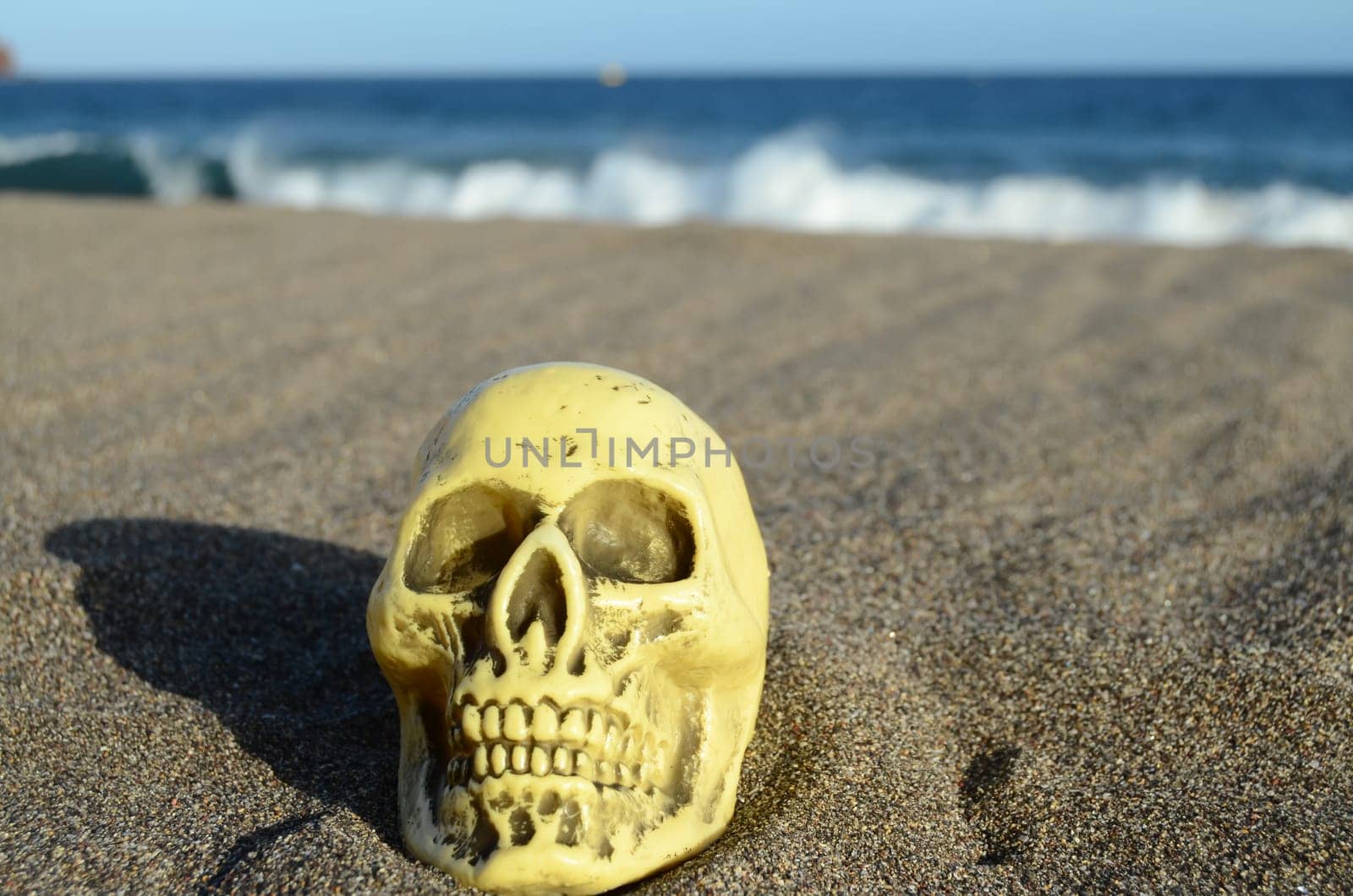 Human Skull on the Sand Beach near Ocean