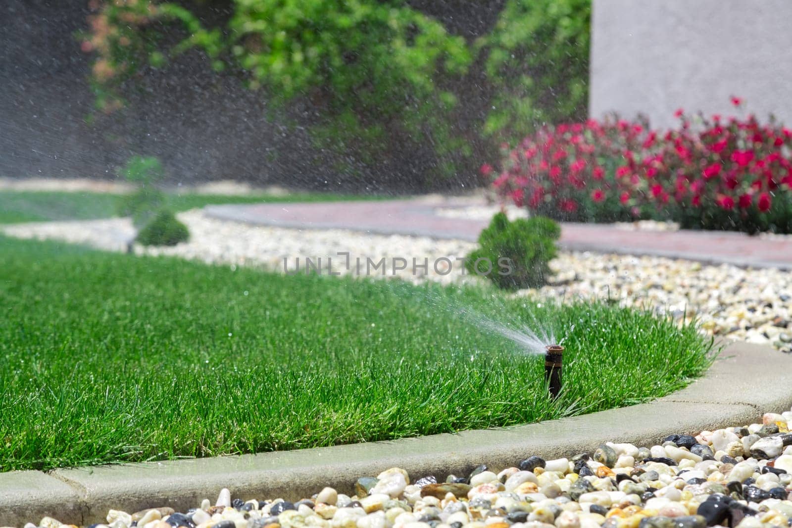 Automatic sprinkler watering grass
