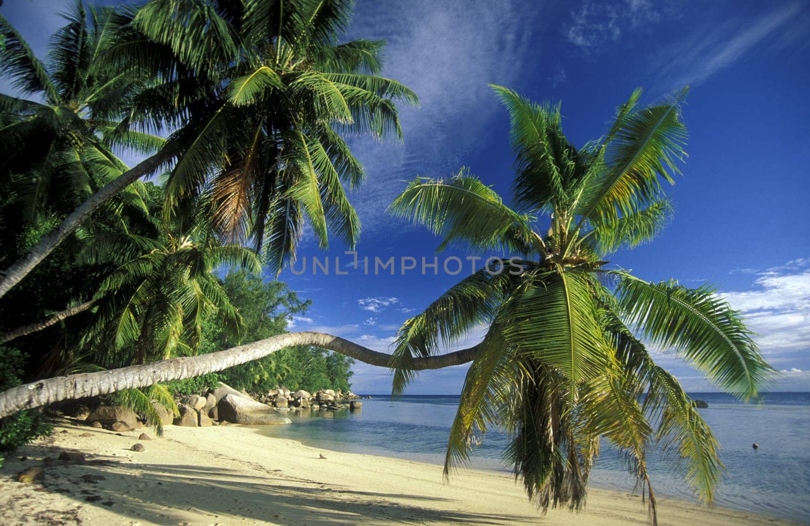 A dream beach on the island of La Digue in the Seychelles in the Indian Ocean.