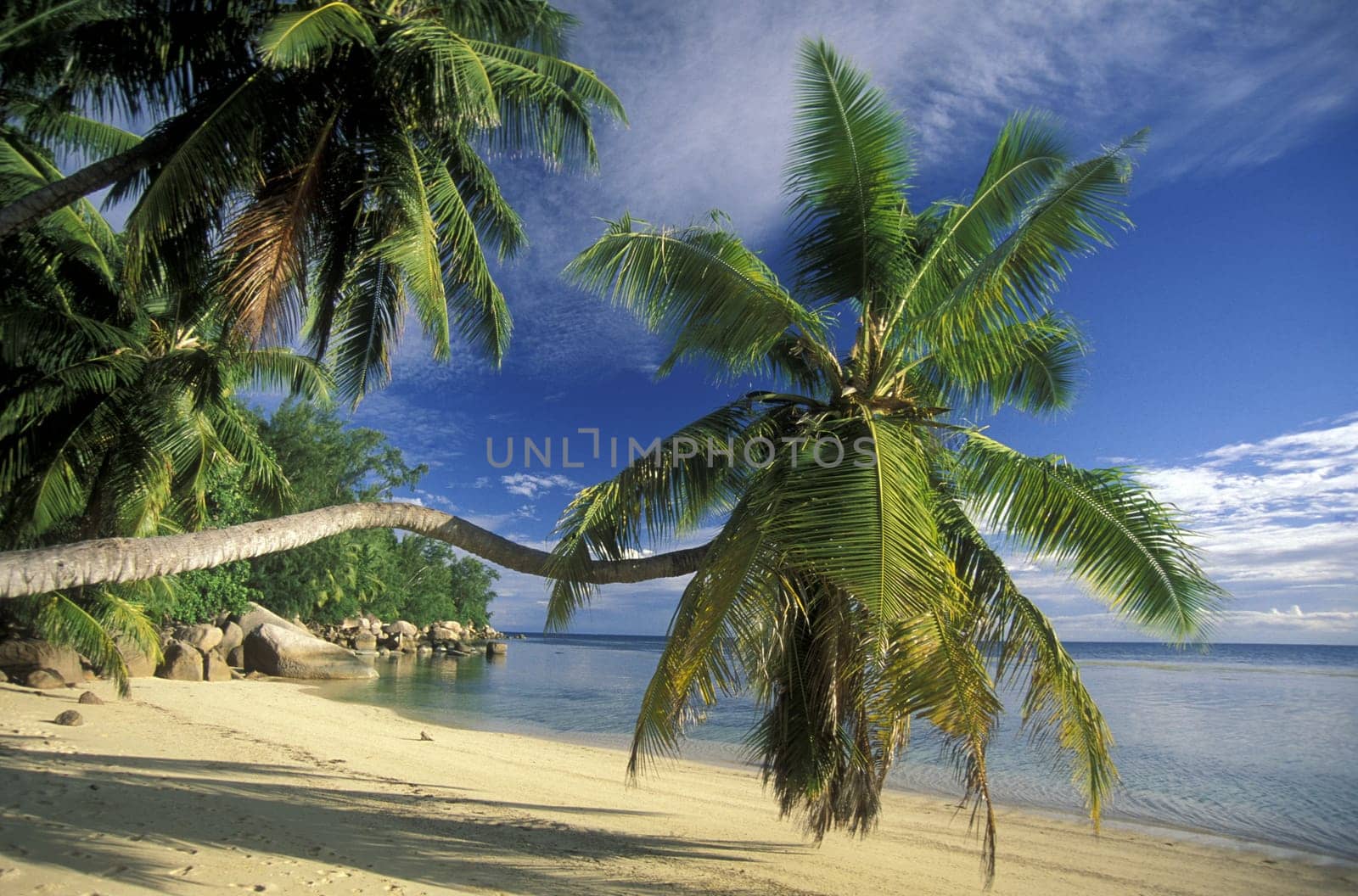 A dream beach on the island of La Digue in the Seychelles archipelago in the Indian Ocean in Africa.