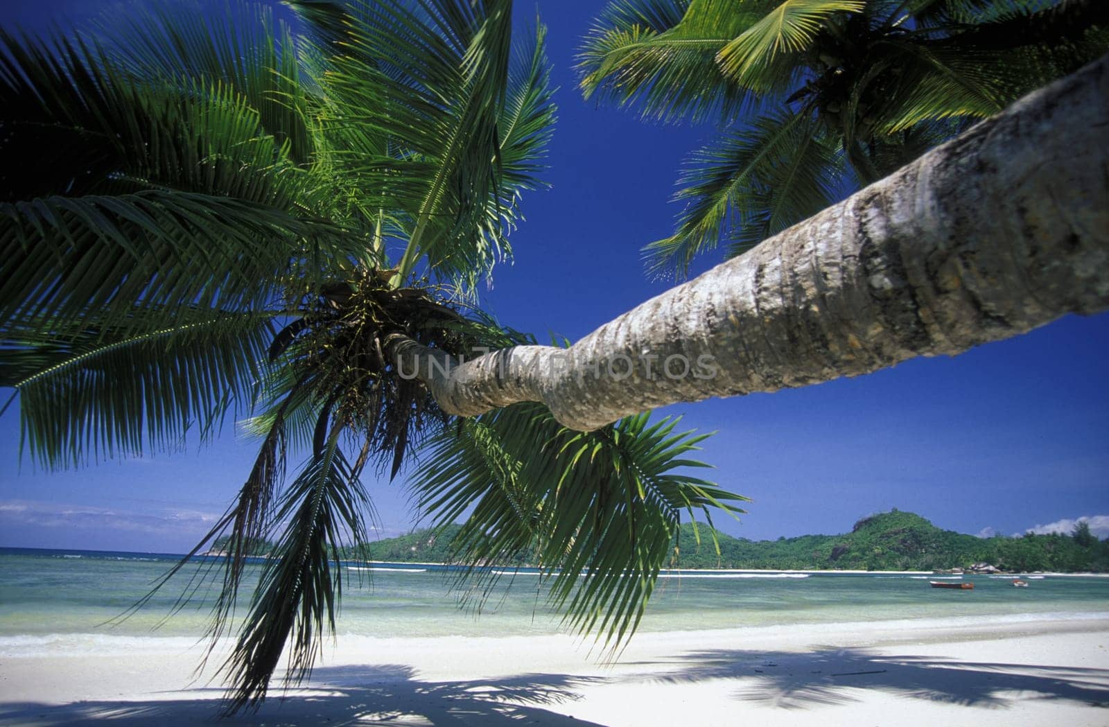Seychelles by urf