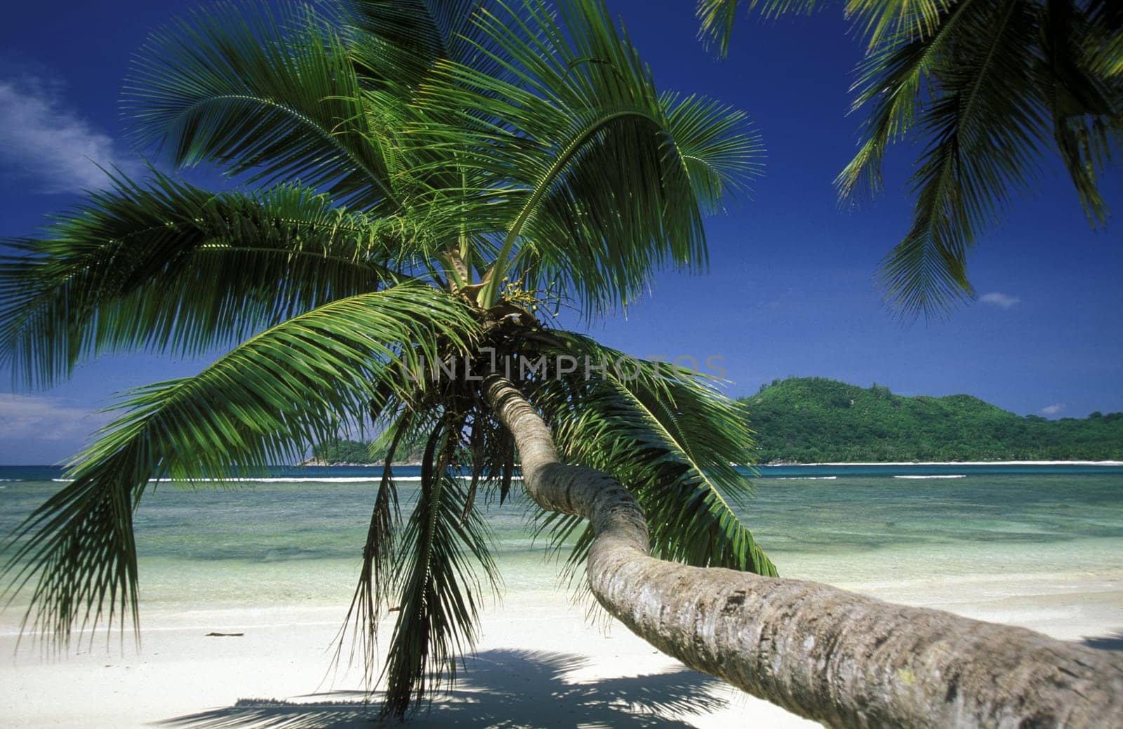 A dream beach on the island of Praslin in the Seychelles archipelago in the Indian Ocean in Africa.