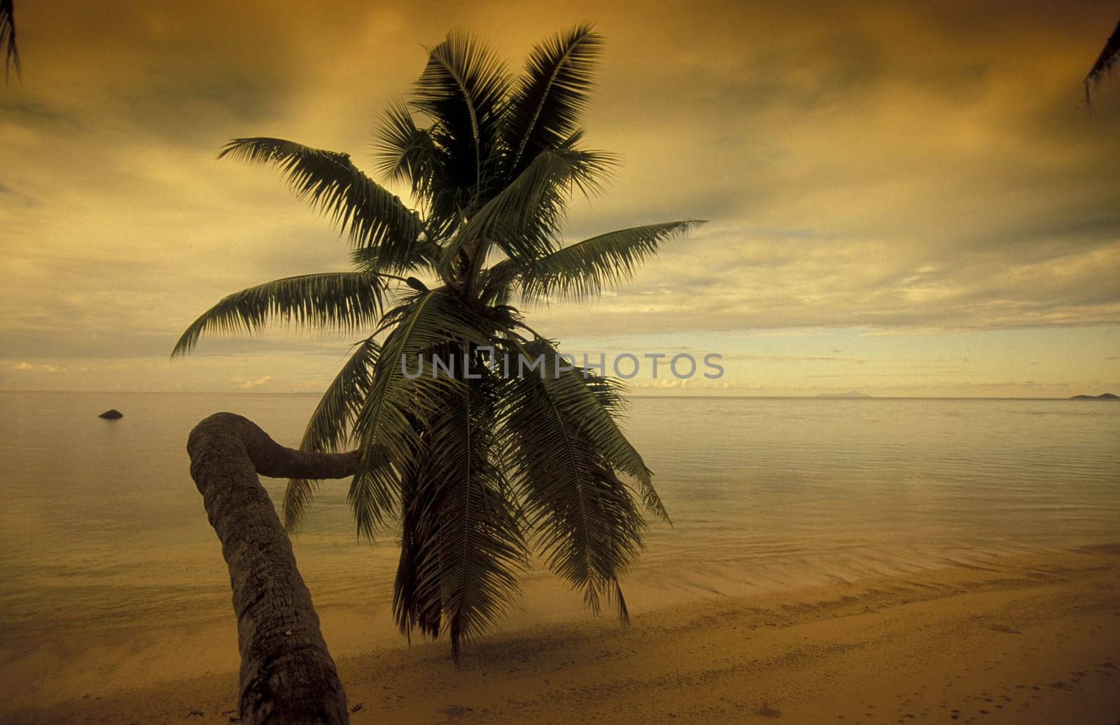 A dream beach on the island of Praslin in the Seychelles archipelago in the Indian Ocean in Africa.