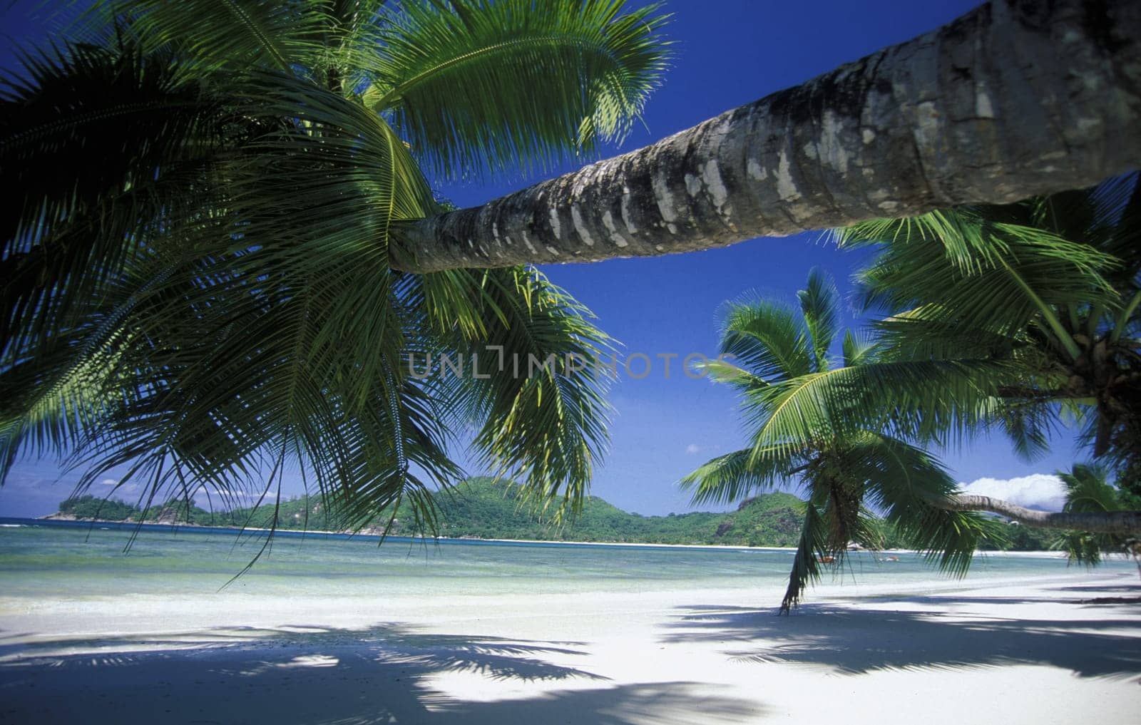 Seychelles by urf