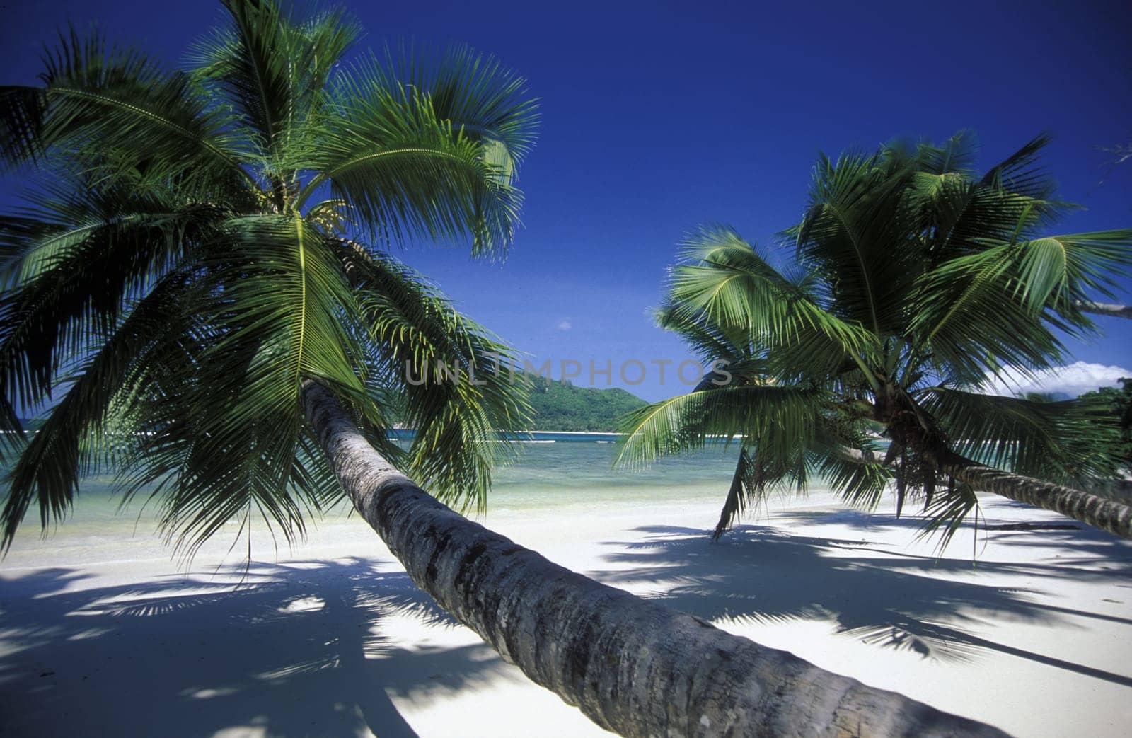 The landscape on the island of Mahe in the Seychelles in the Indian Ocean.