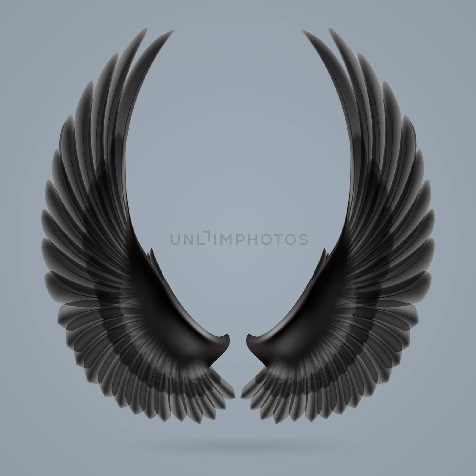 Inspiring black wings drawn separately on a gray background