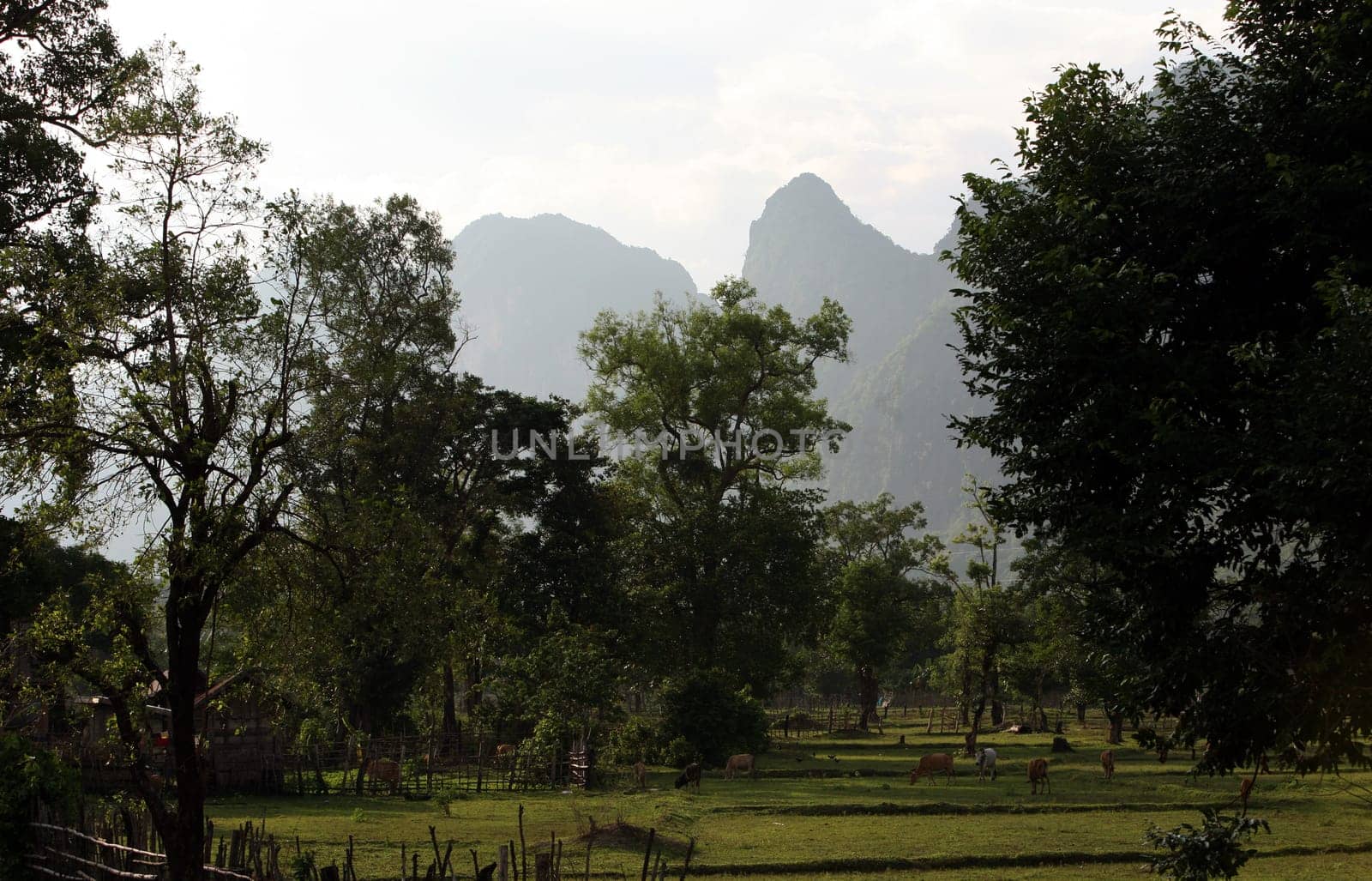The hilly landscape on highway 12 between the city of Tha Khaek and the village of Mahaxai Mai in central Laos on the border with Thailand in South East Asia.