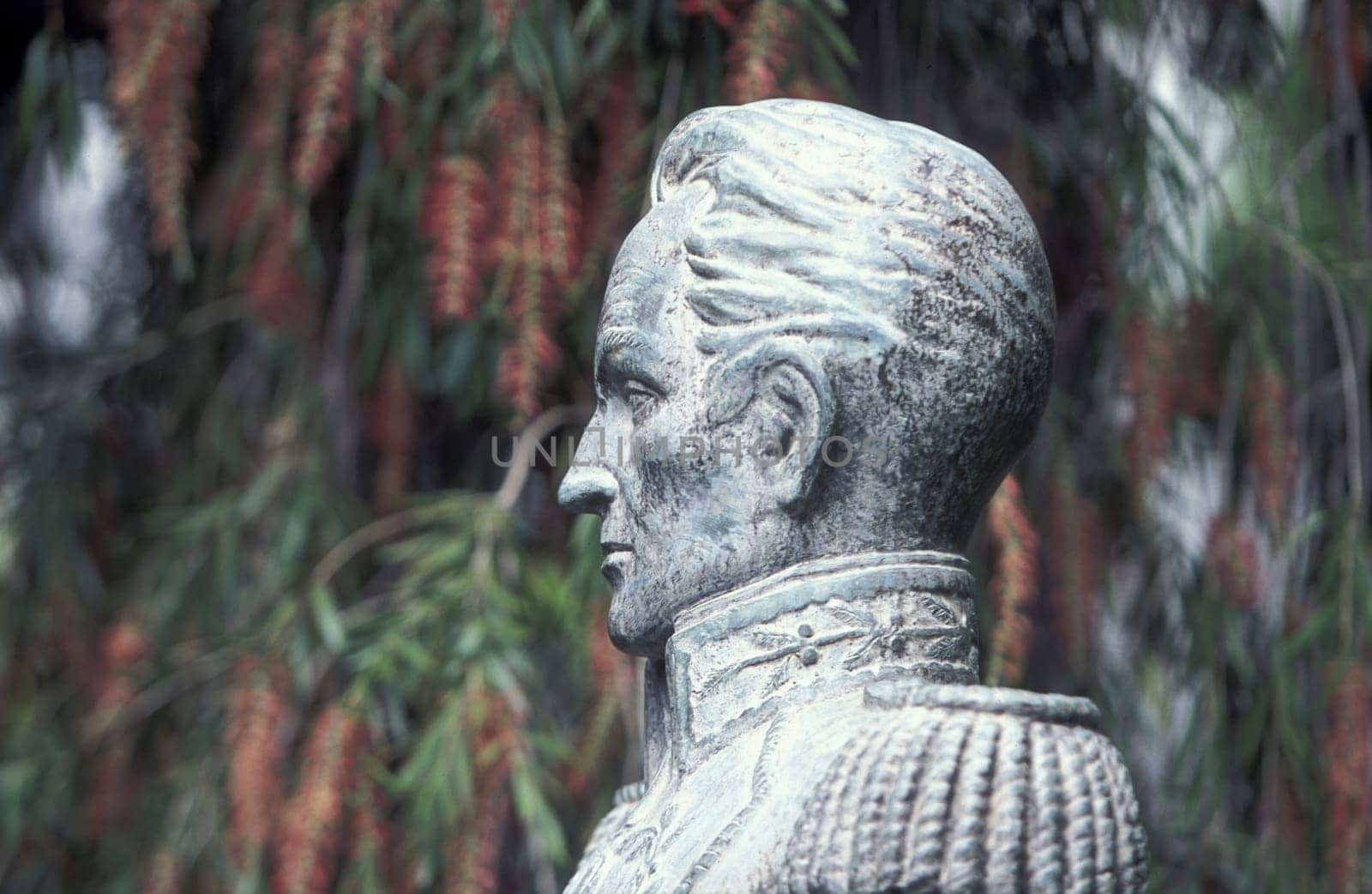 Europe,Atlantic Ocean,Portugal,Island,Madeira,Capital,Funchal,Garden,Jardin Municipal,Monument.The statue of Sao Francisco in the Jardin Municipal in the capital Funchal on the island of Madeira in the Atlantic Ocean,Portugal,(Urs Flueeler)
