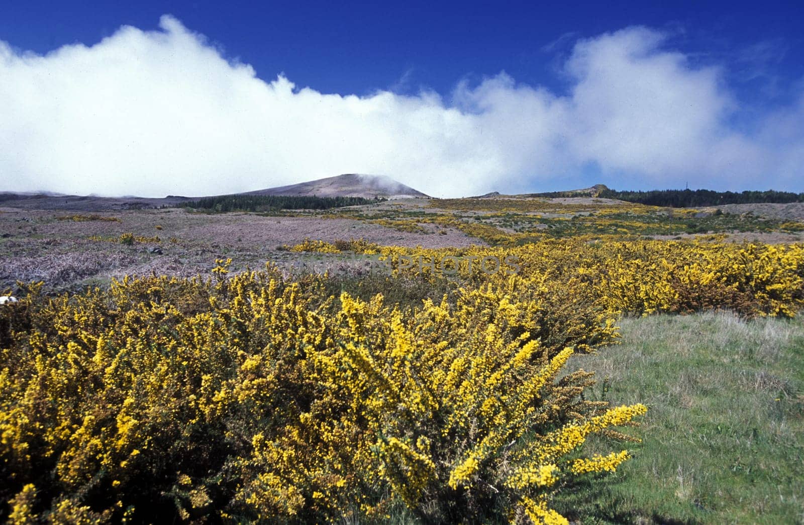 Europe,Atlantic Ocean,Portugal,Island,Madeira,Serra de Agua,Landscape,. The Serra de Agua in the centre of Madeira Island in the Atlantic Ocean,Portugal